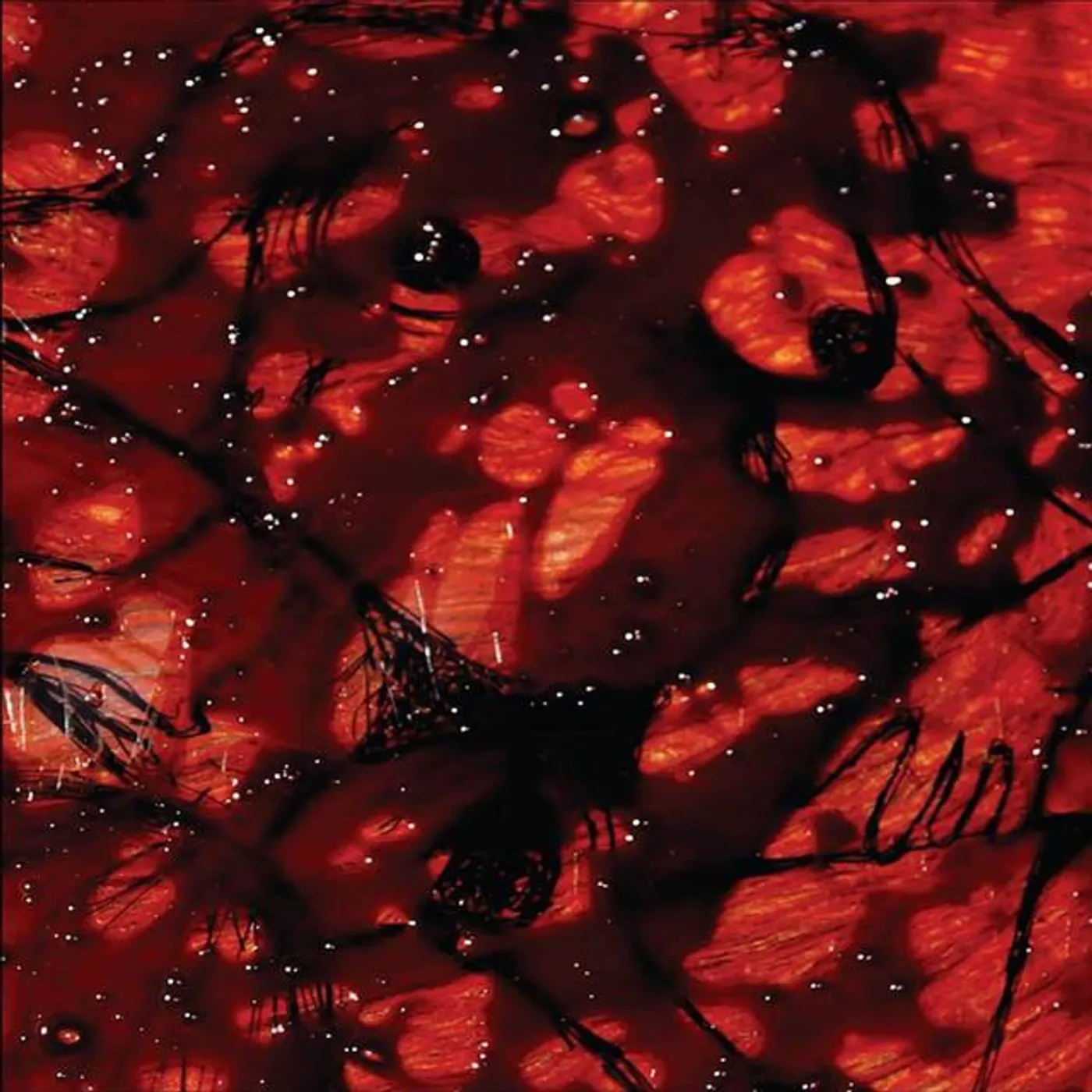 Mama Soy Demente Brand Page