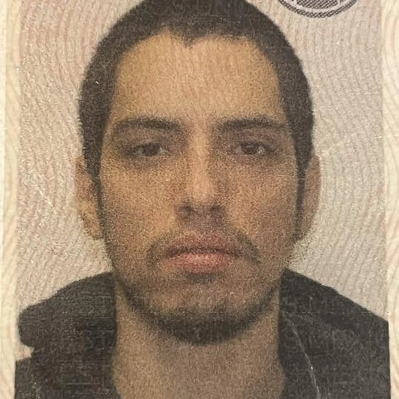 Mandragora Brand Page