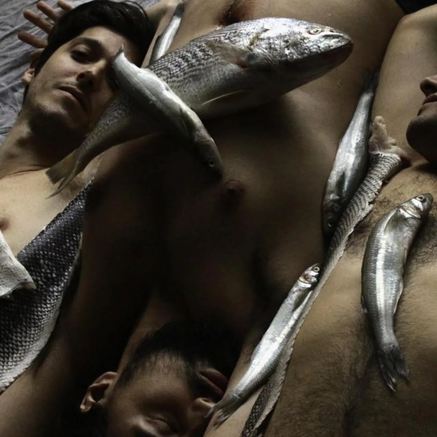 Manto de Carne Brand Page