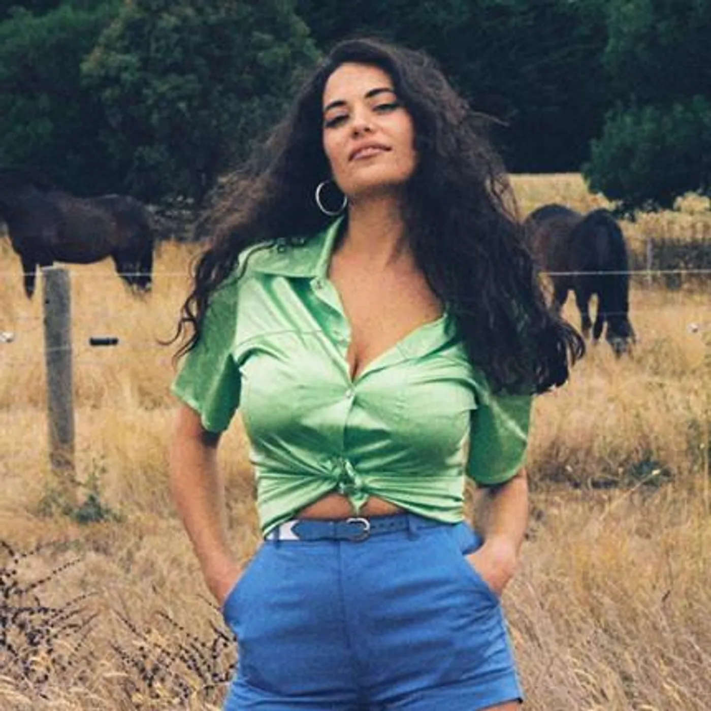 Maple Glider Brand Page