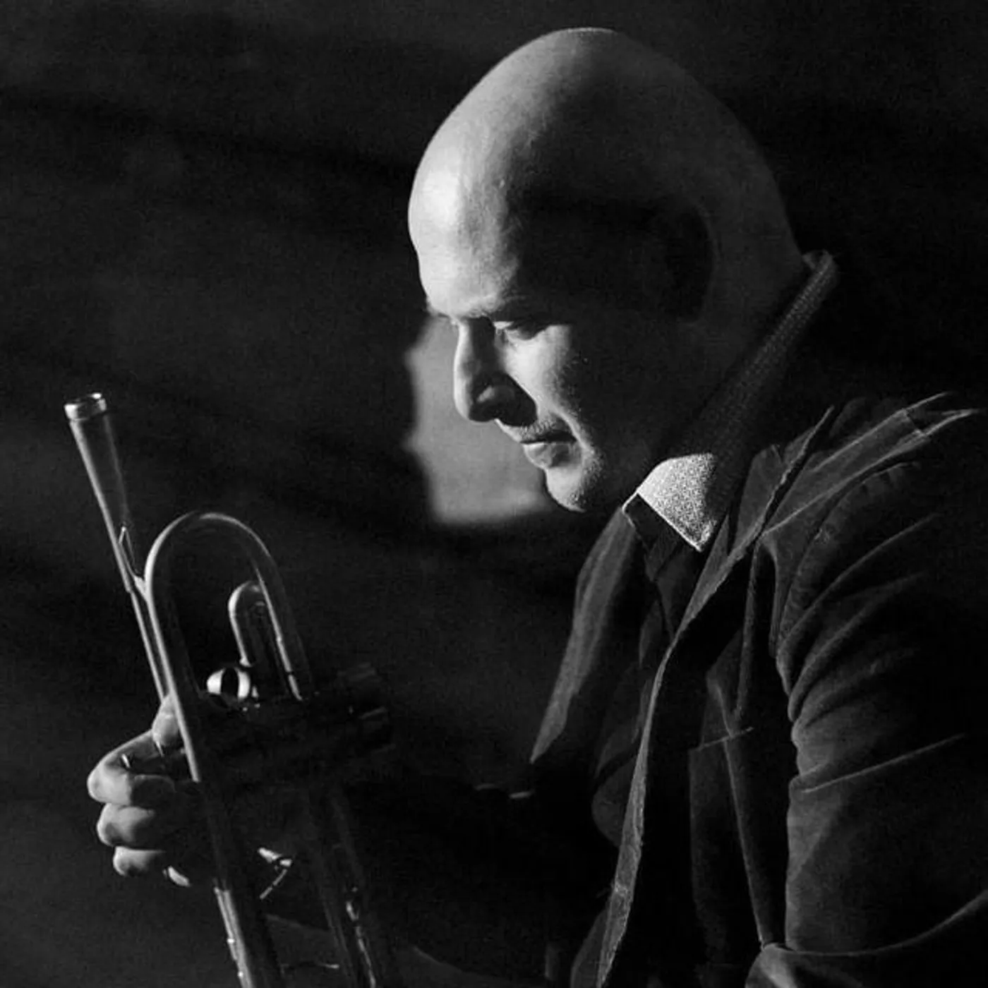 Marco Vezzoso Brand Page