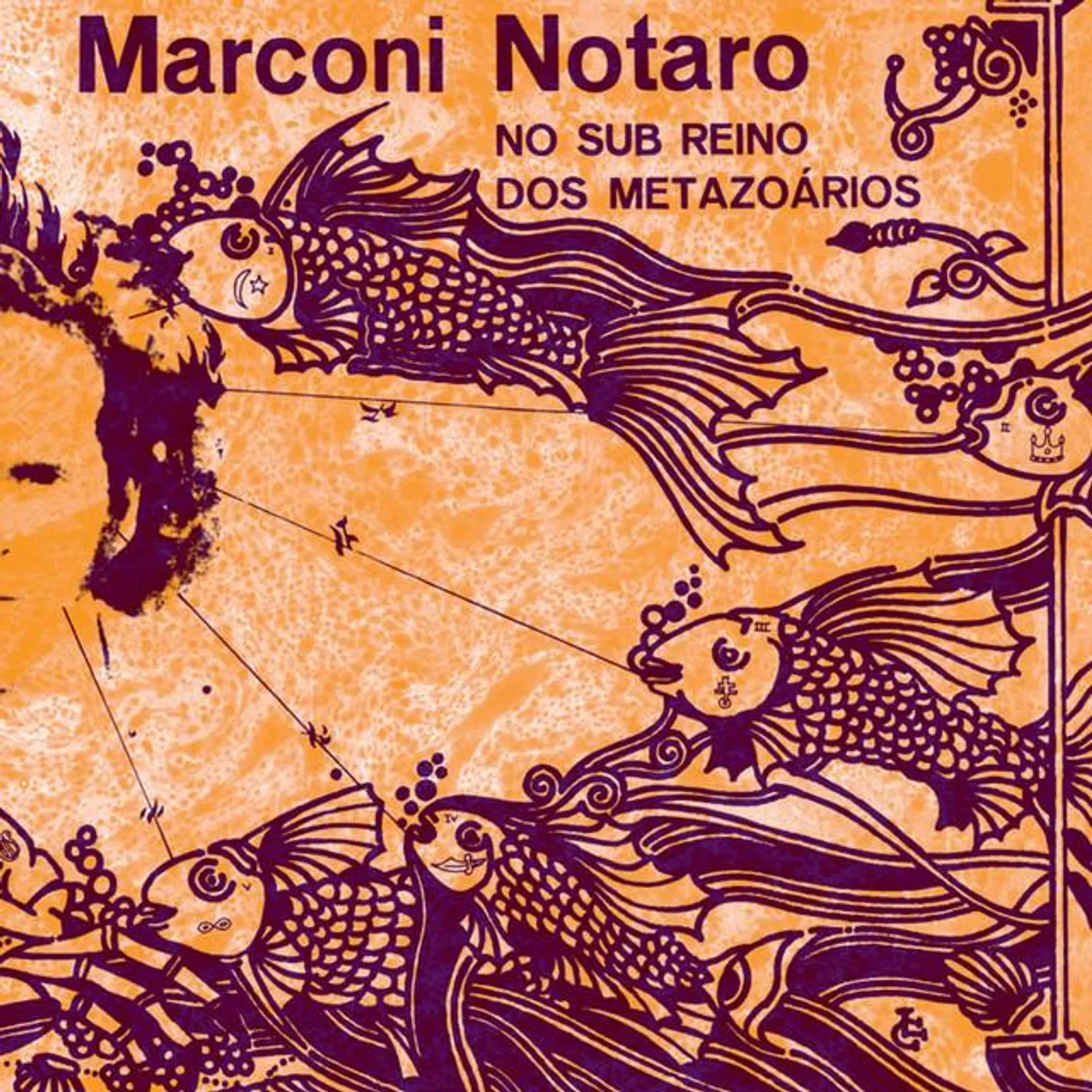 Marconi Notaro Brand Page