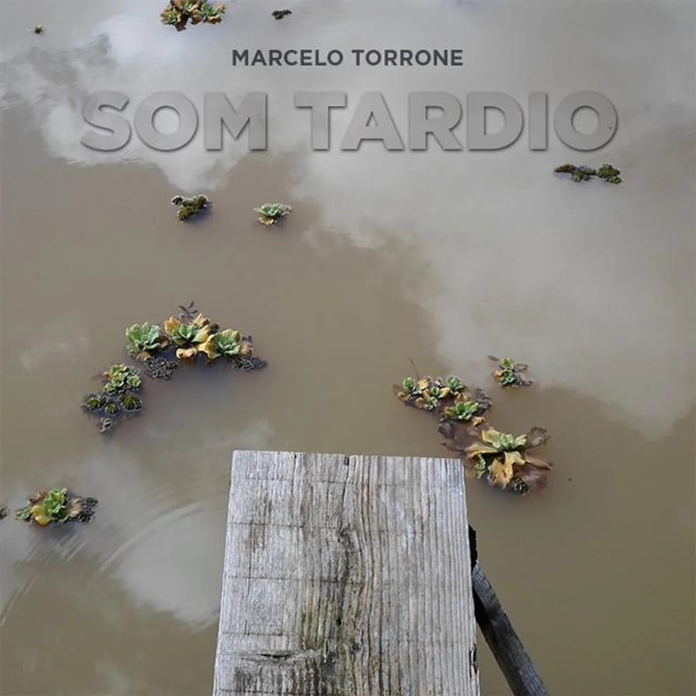 Marcelo Torrone