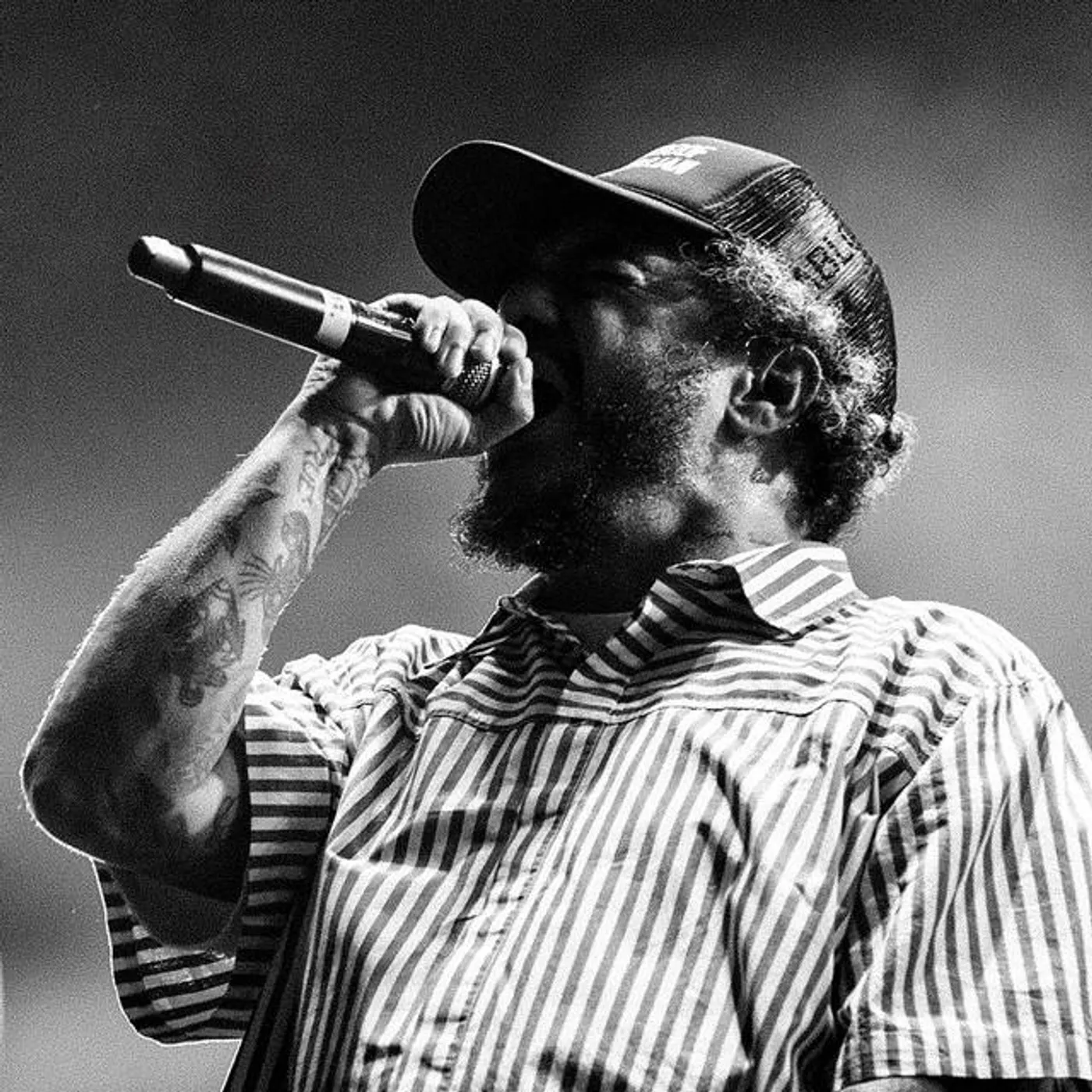 Marcelo D2 Brand Page