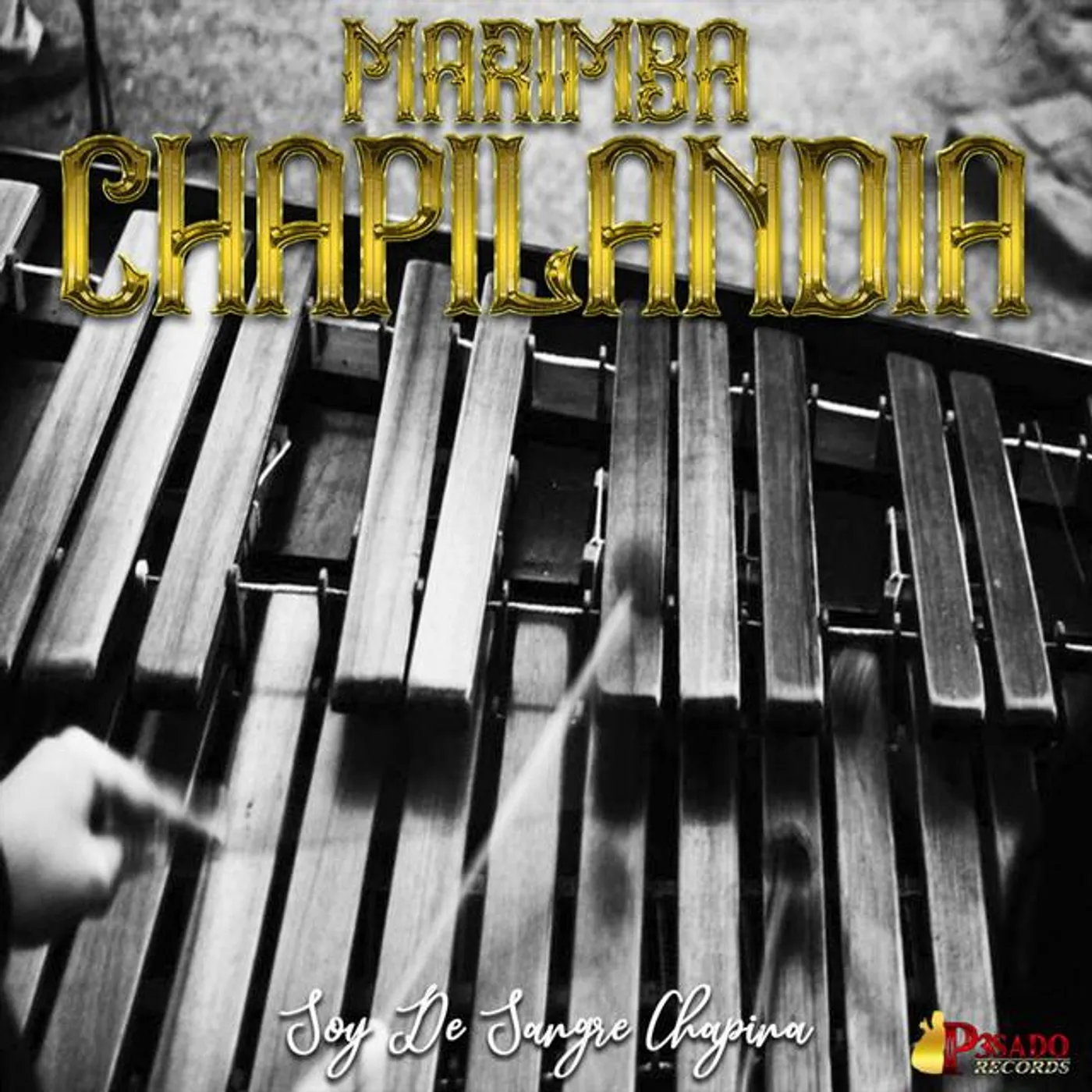 Marimba Chapilandia
