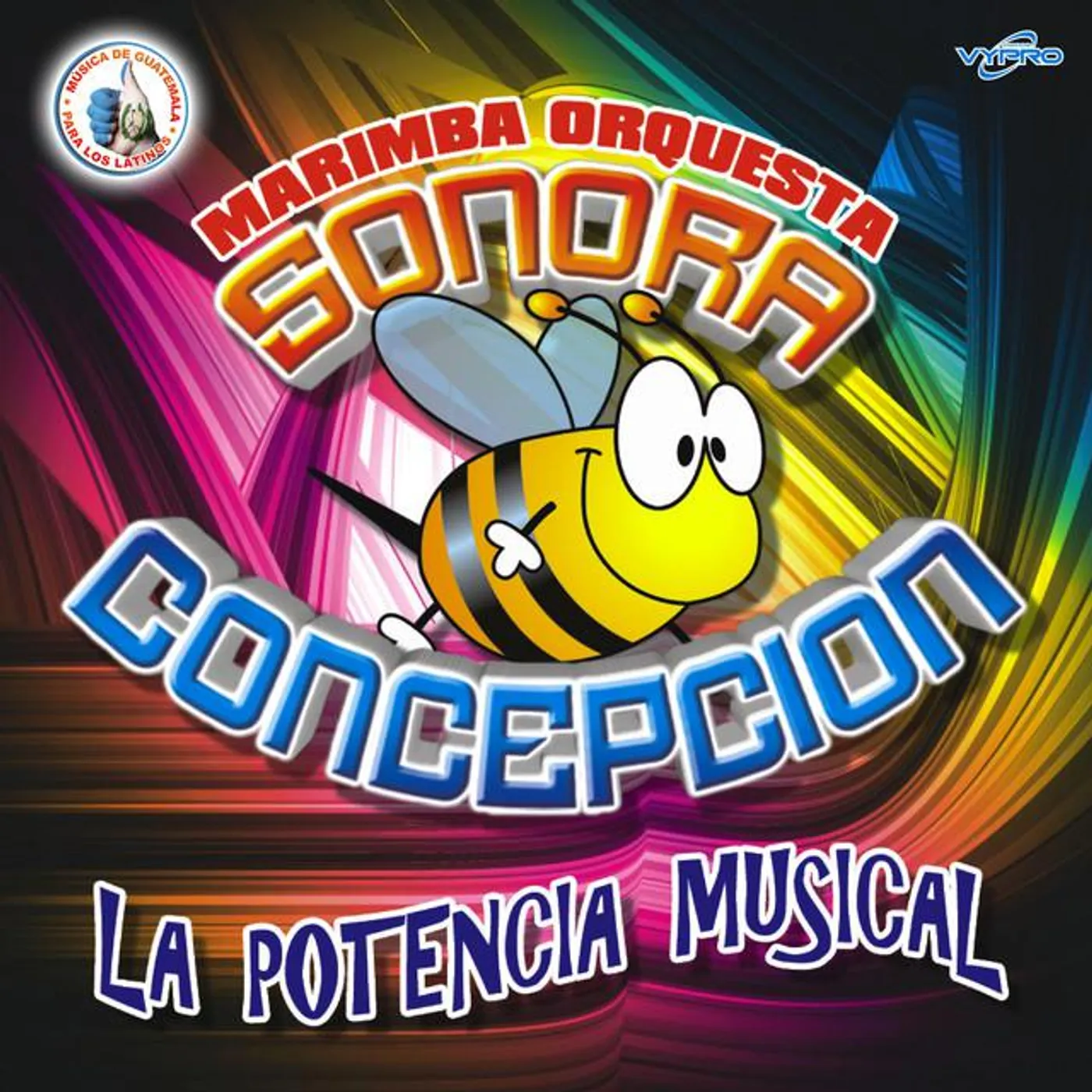 Marimba Orquesta Sonora Concepción
