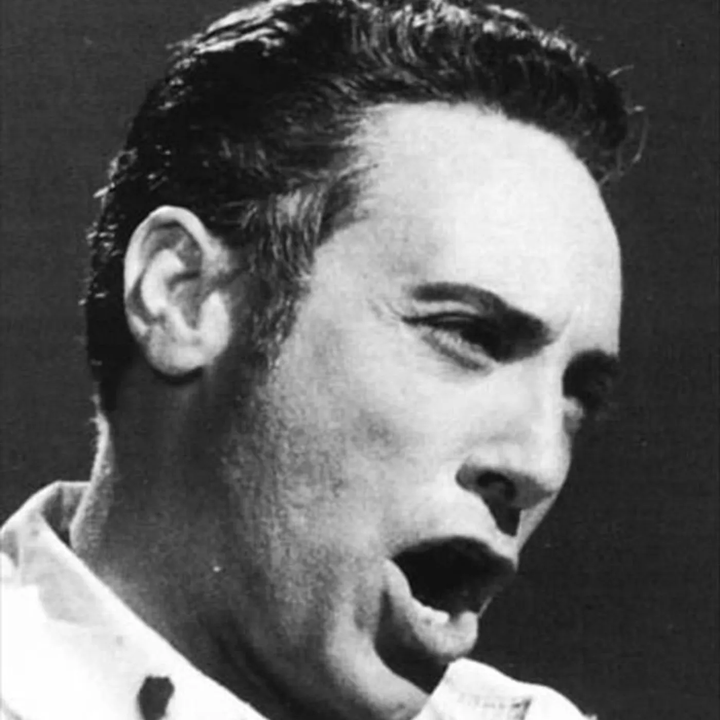 Mario del Monaco Brand Page