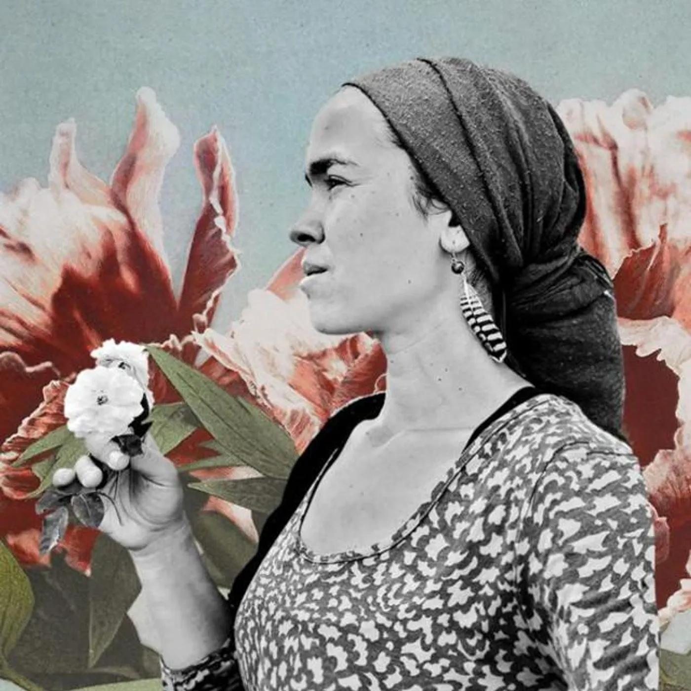 Mariana Root Brand Page