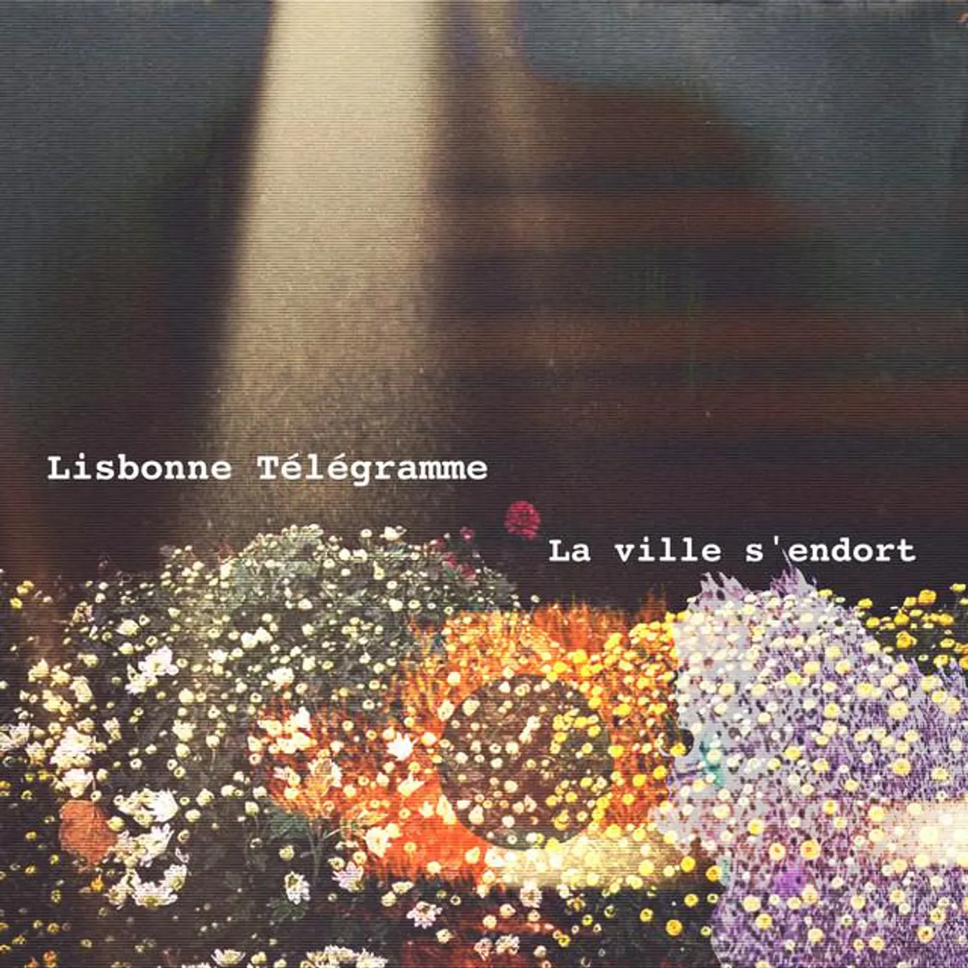 Maritza Bossé-Pelchat Brand Page