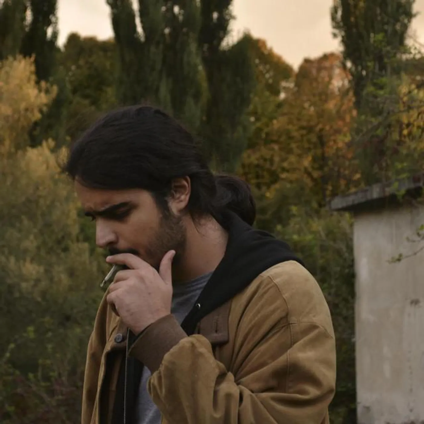 Marius W. Arcadio Brand Page