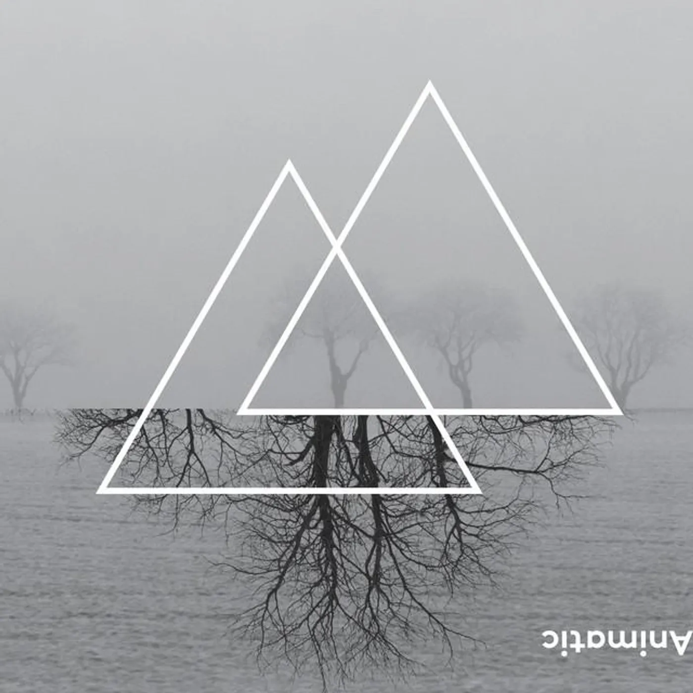 Mark Aanderud Brand Page