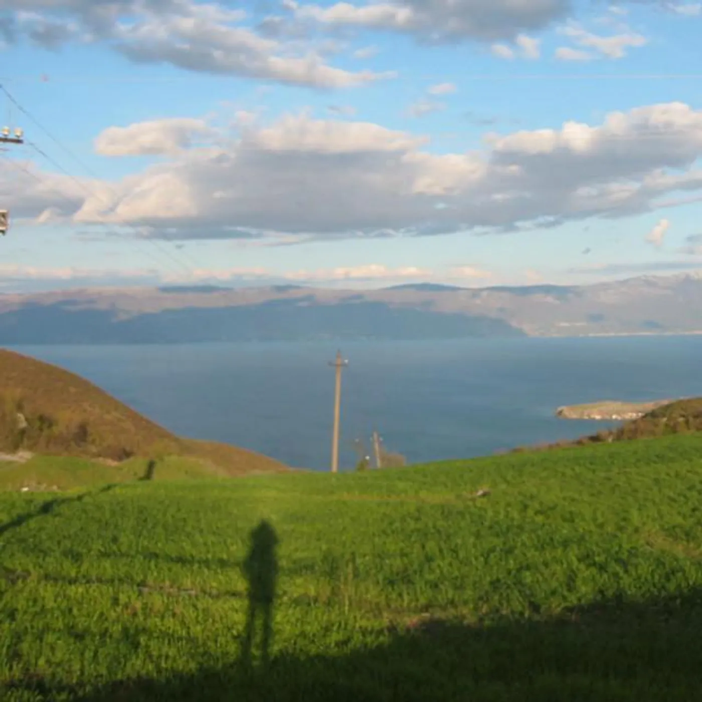 Mark du Mosch Brand Page