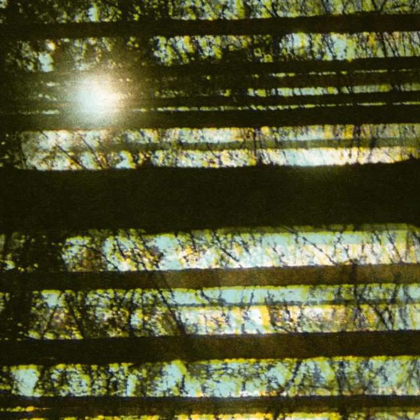 Mark Solborg Brand Page