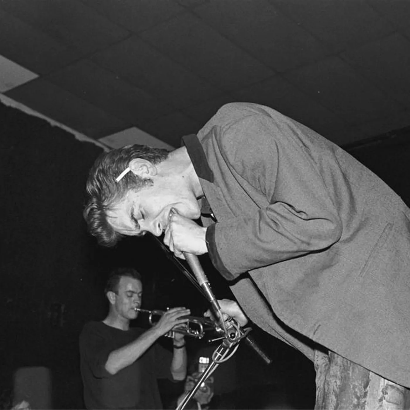 Mark Stewart & The Maffia Brand Page