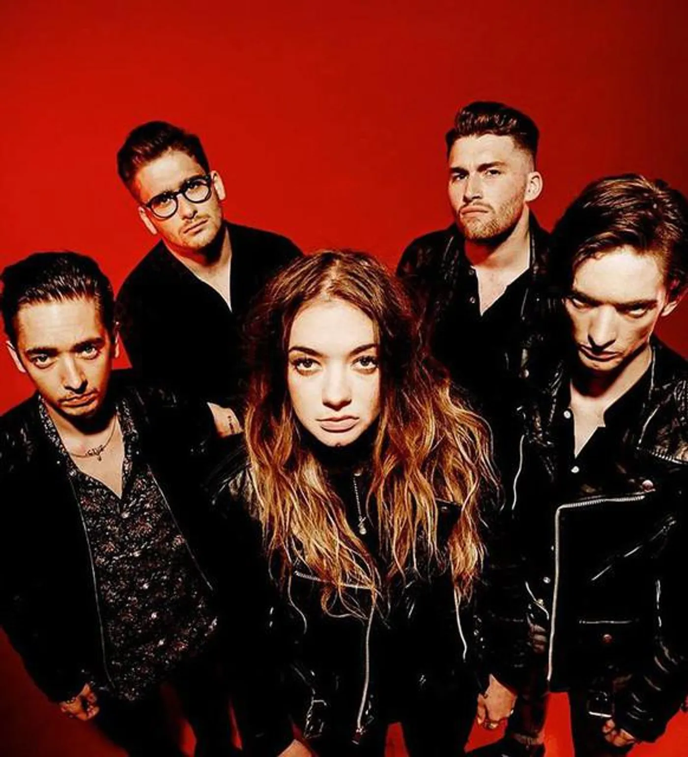 Marmozets