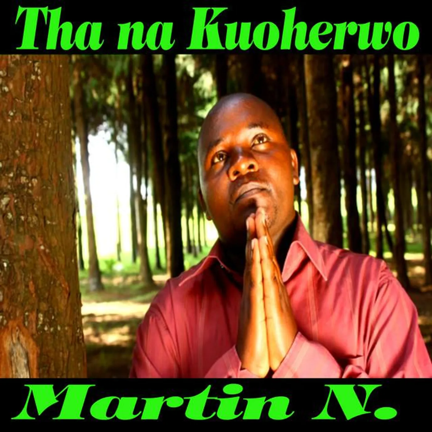 Martin N. Brand Page