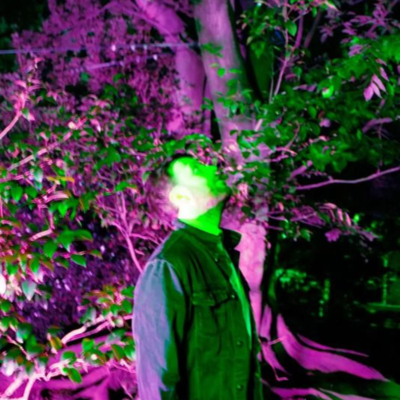 Marty Holoubek Brand Page