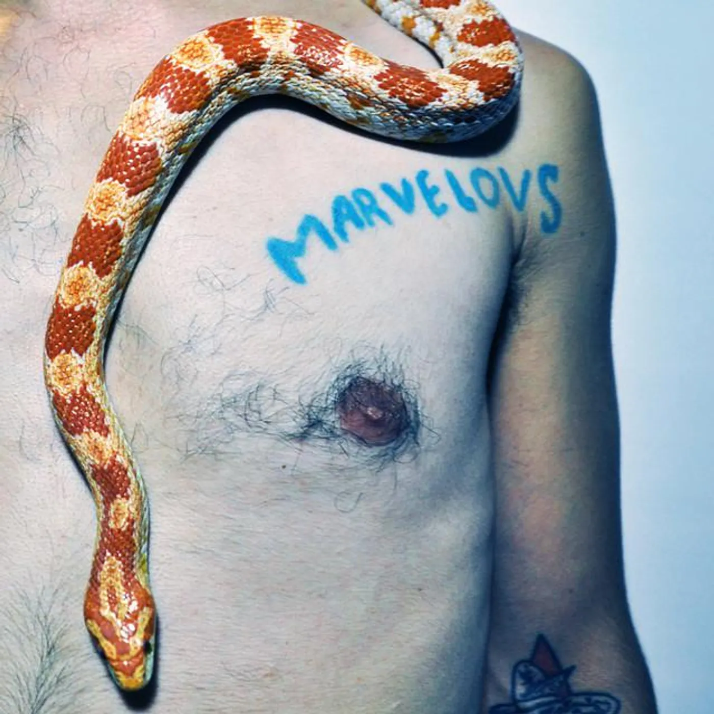 Marvelous Darlings Brand Page