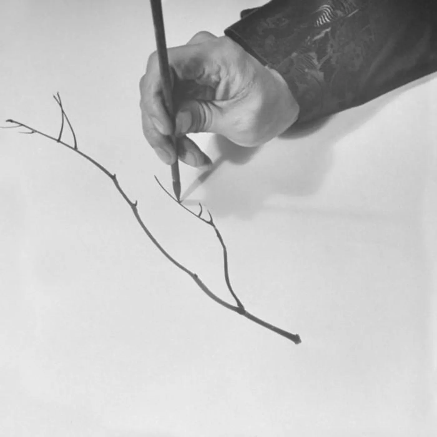 Mary Jane Leach Brand Page