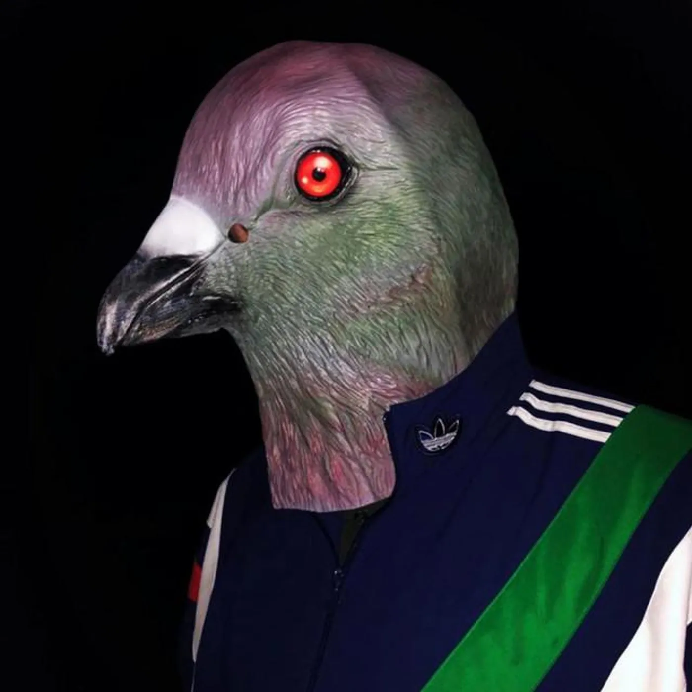 Mc Pigeon