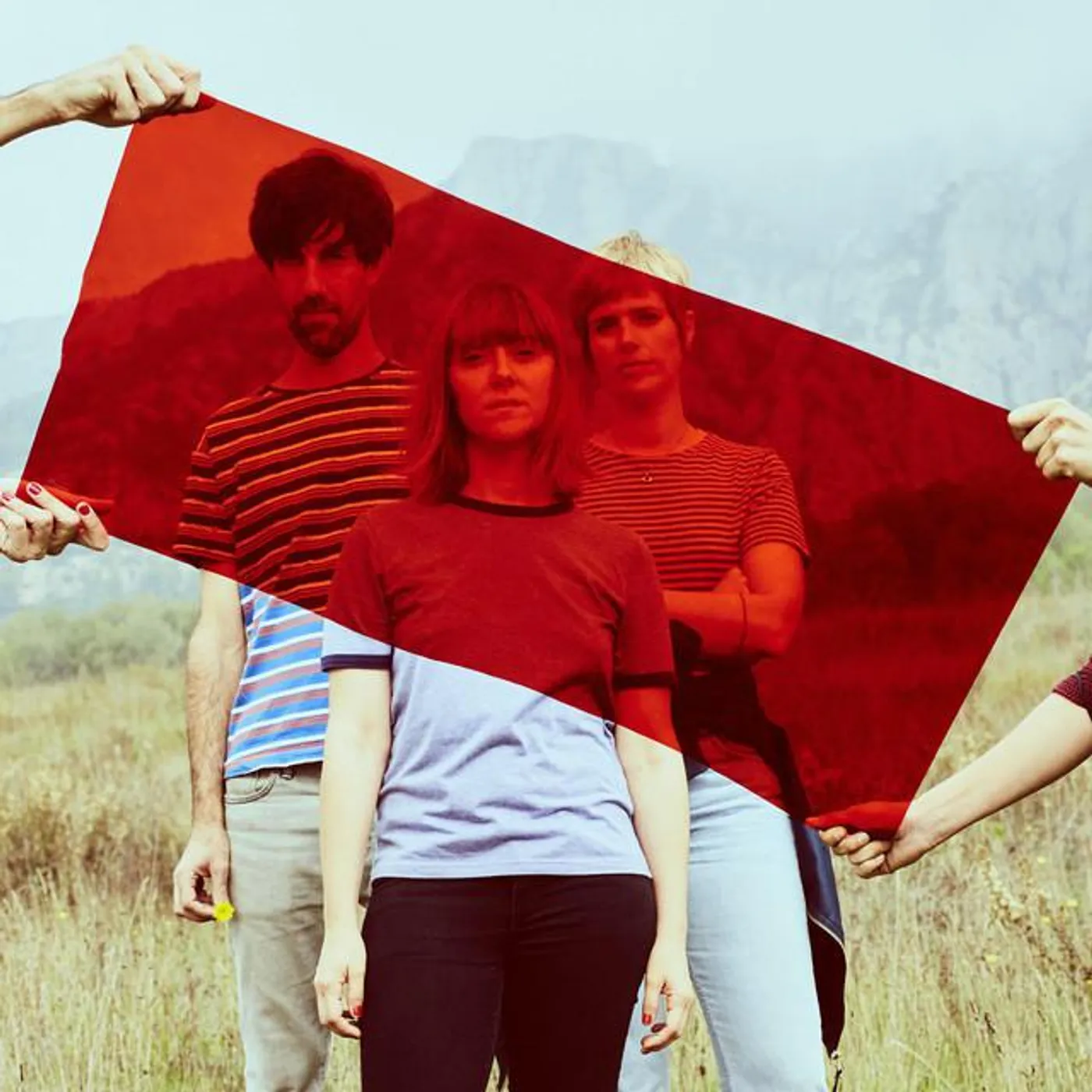 Me and the Bees Brand Page