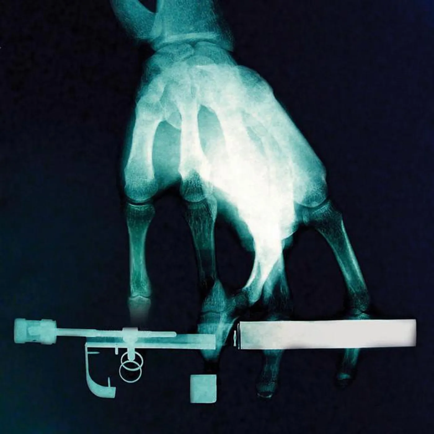 Metaphysis Brand Page