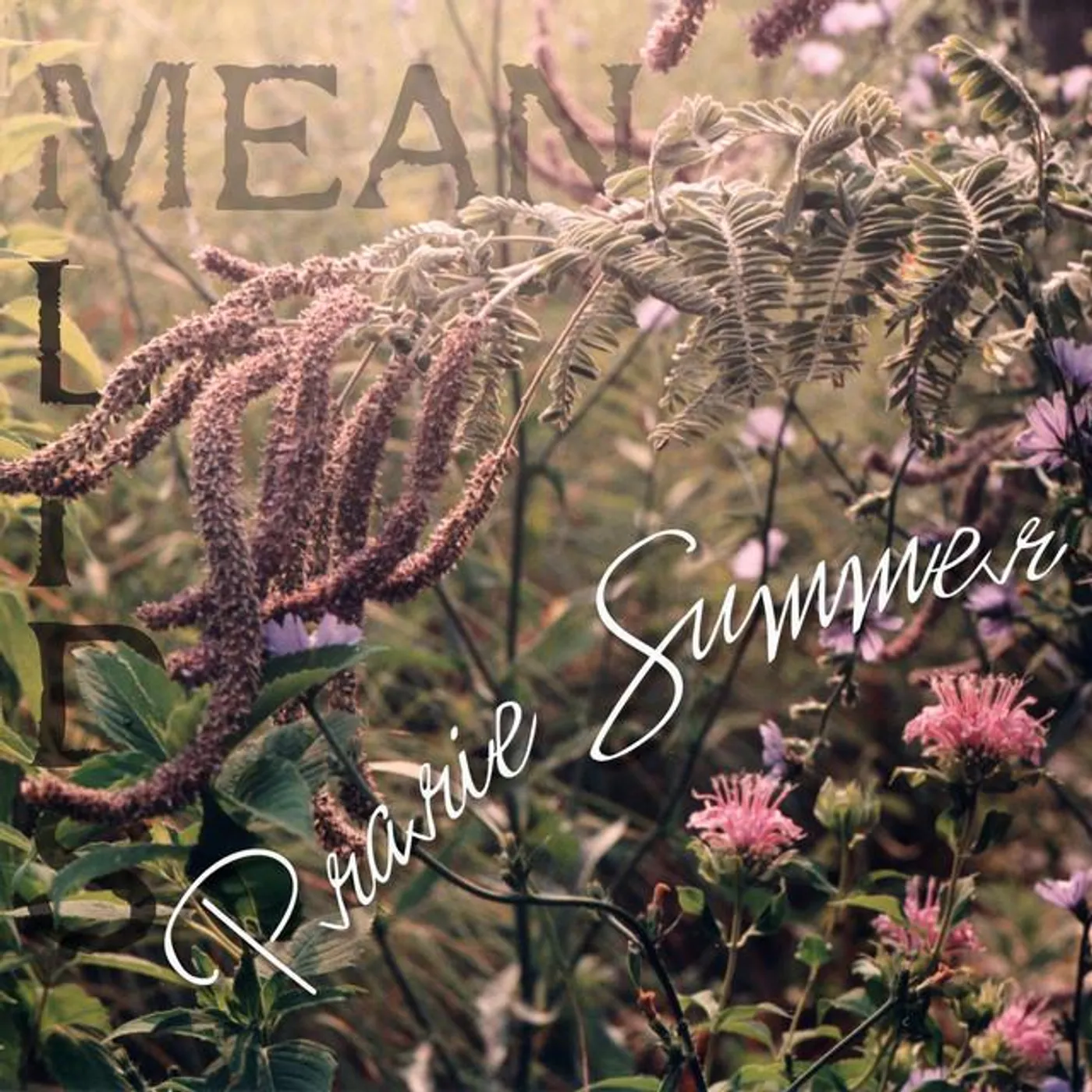 Mean Lids Brand Page