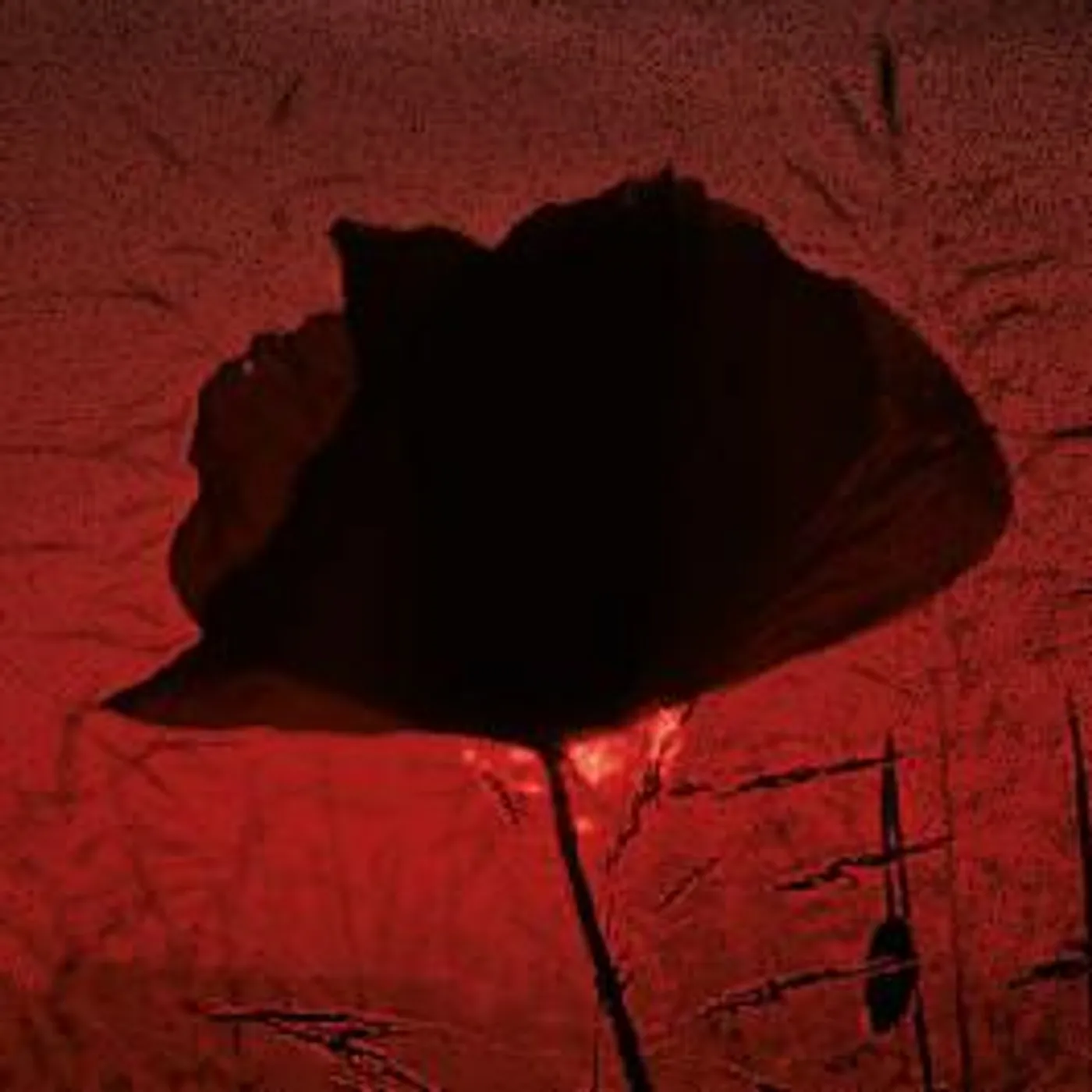 Means to Collapse Brand Page