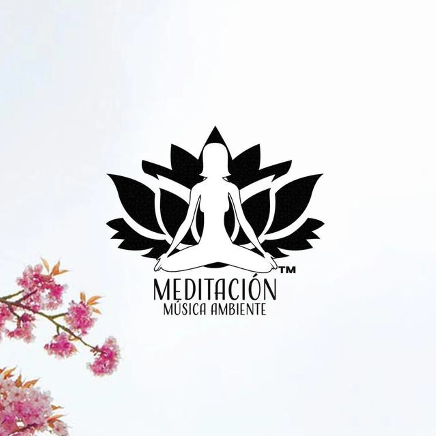 Meditación Música Ambiente