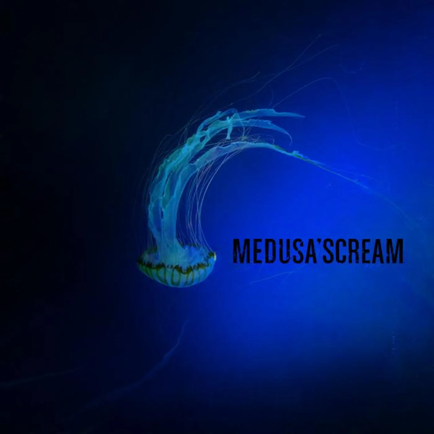 Medusa'Scream