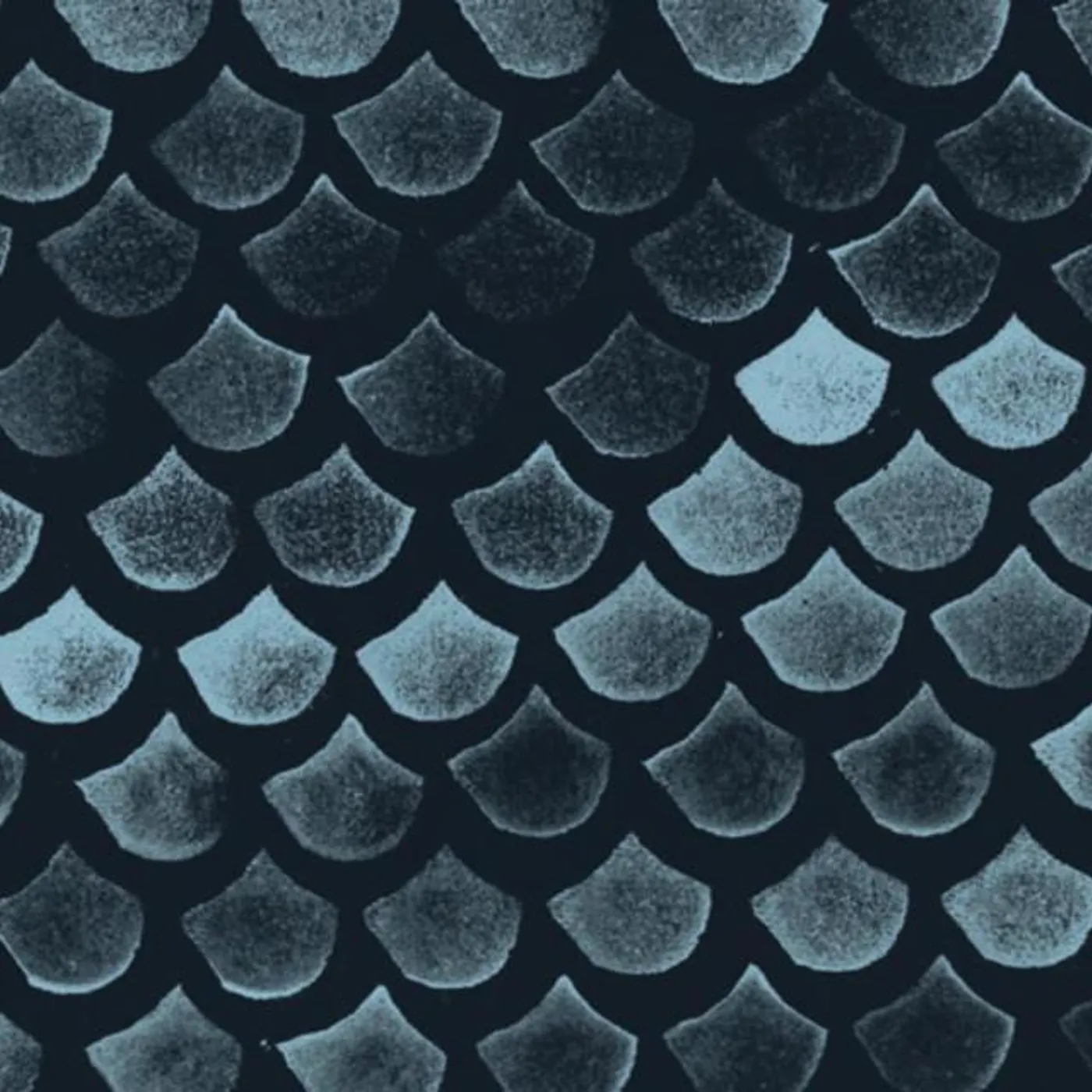 Megalodon Collective Brand Page