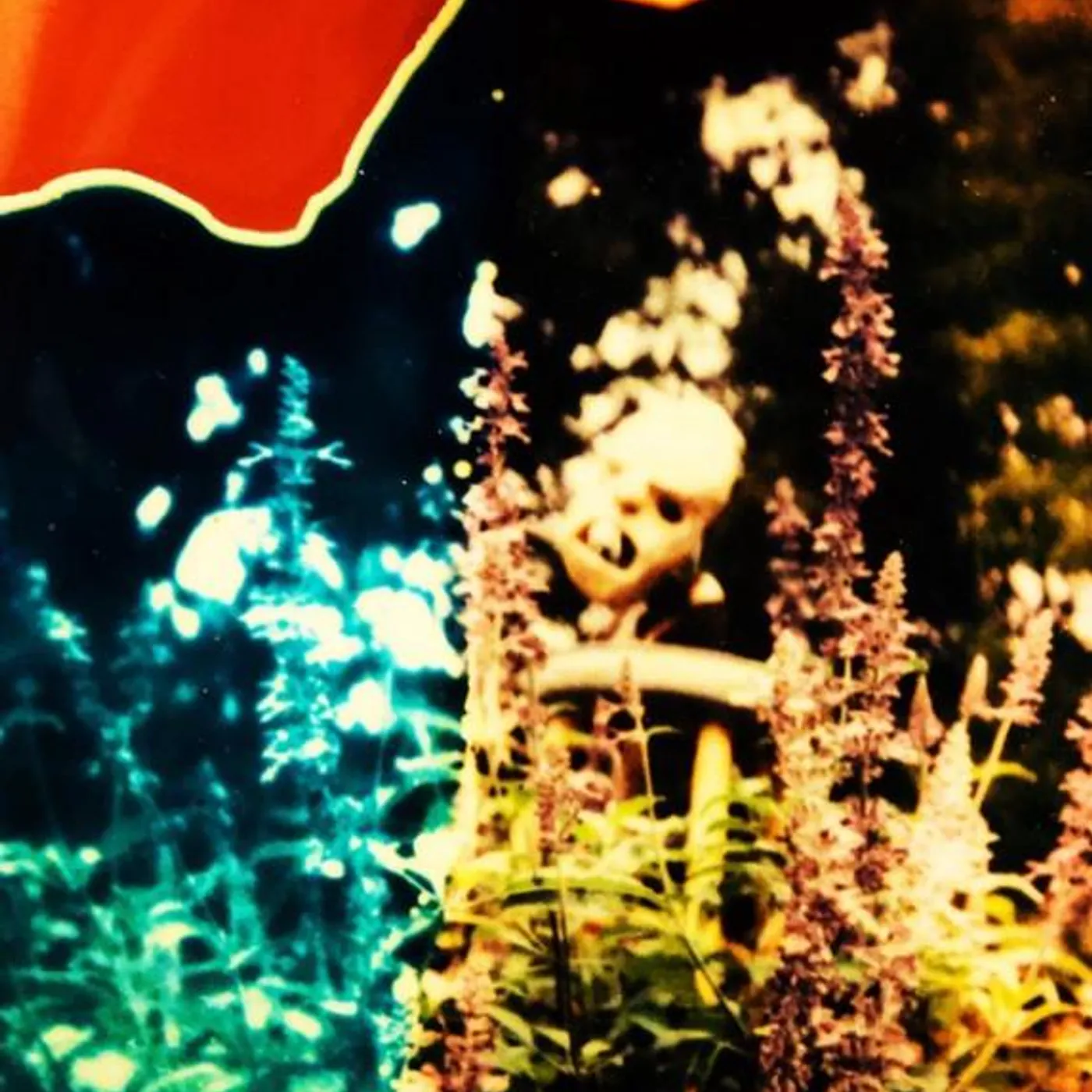 Melaina Kol Brand Page