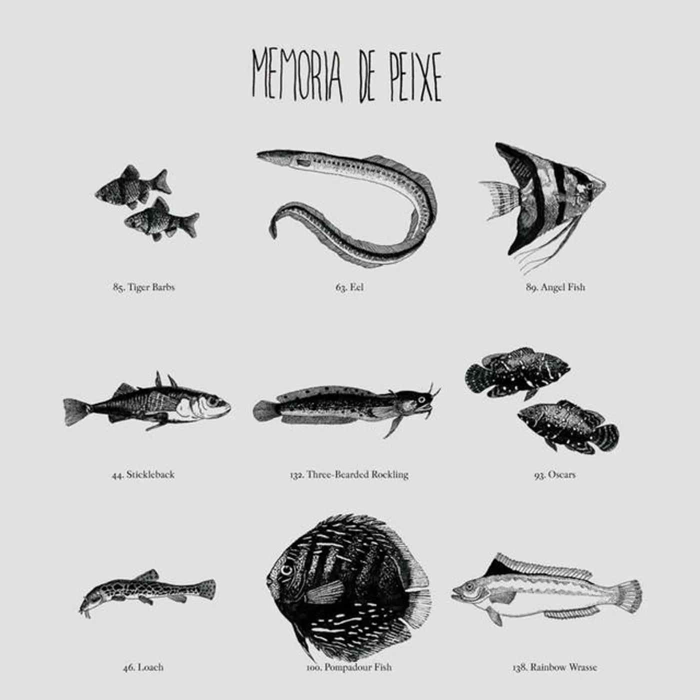 Memória De Peixe