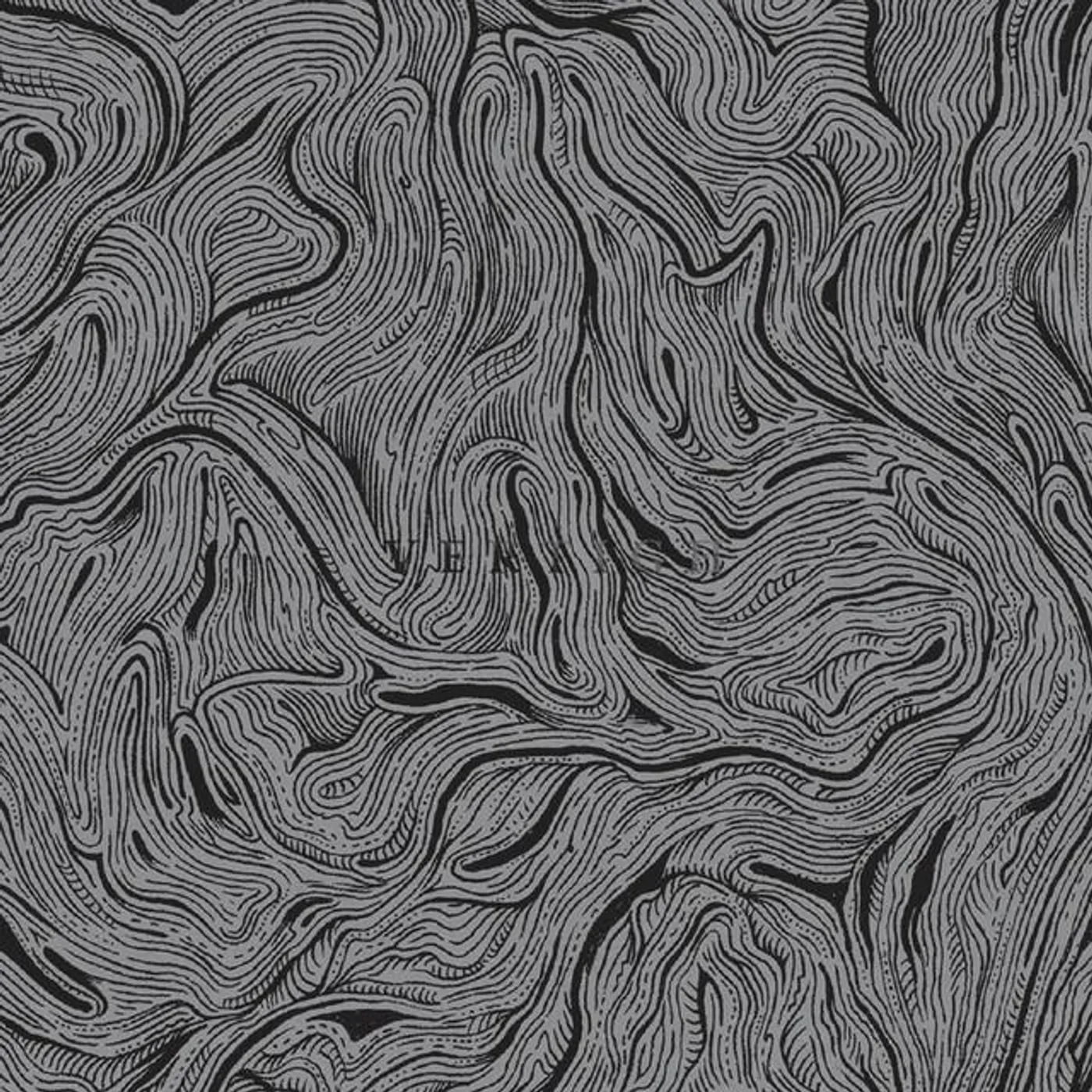 Memoirs of a Secret Empire