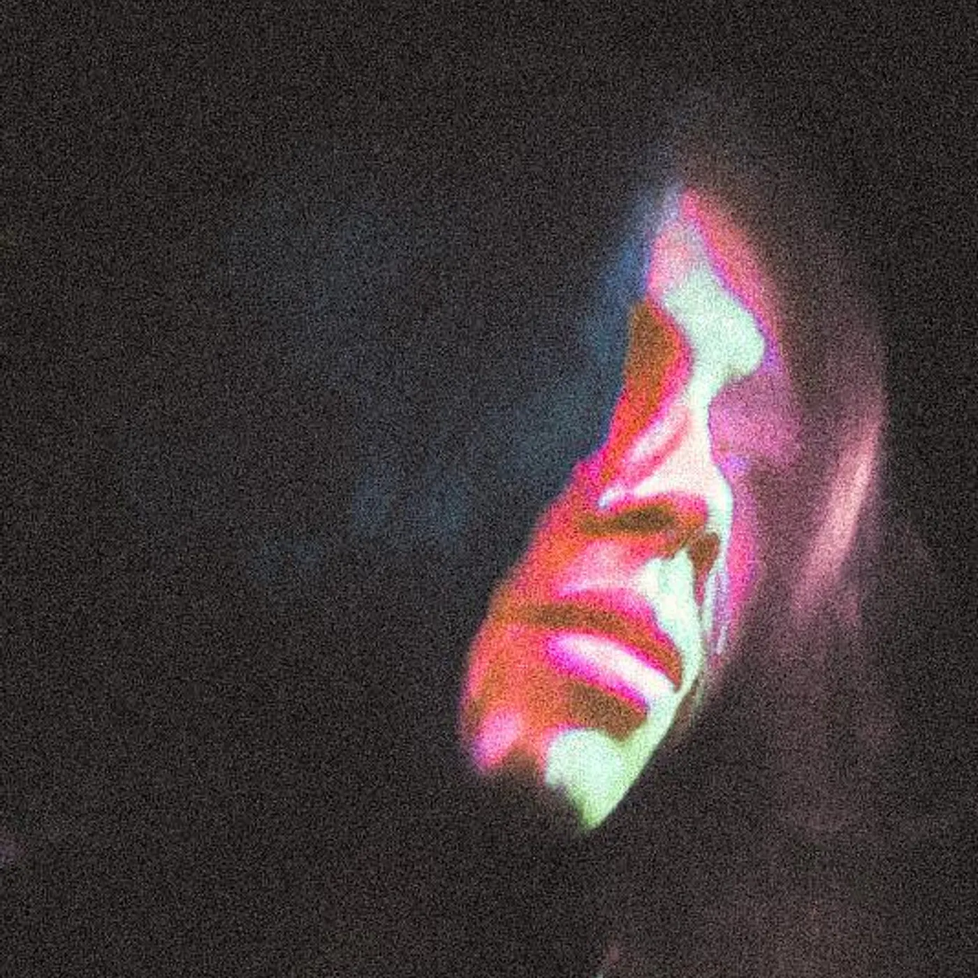 Memoria XI Brand Page