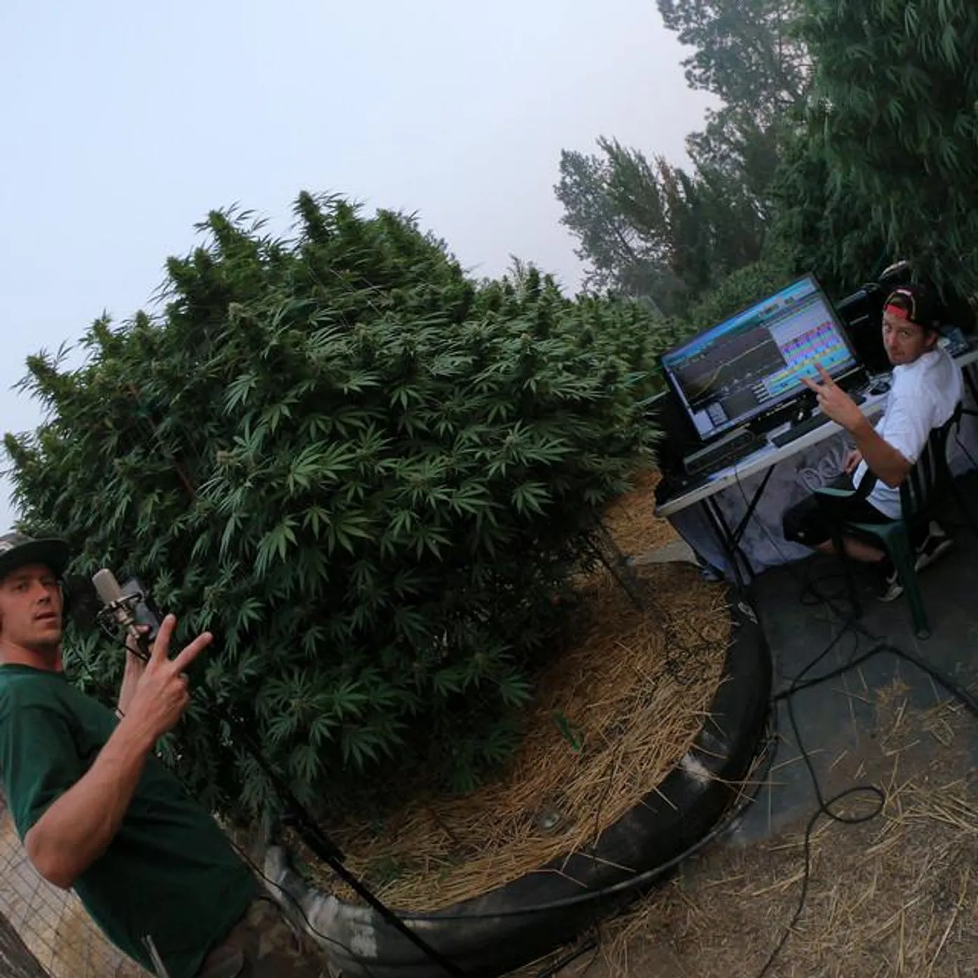 Mendo Dope Brand Page