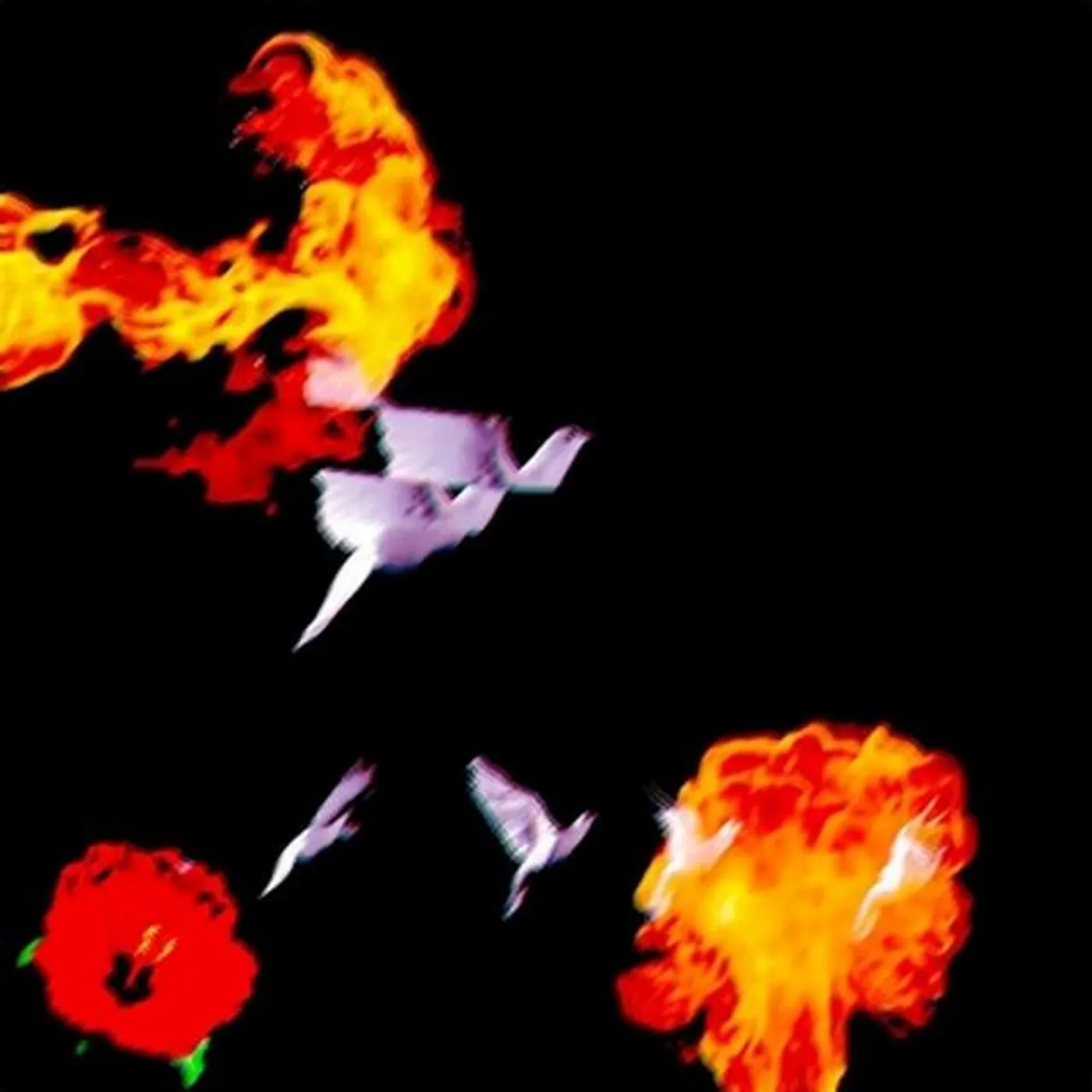 MFK Marcy Mane Brand Page