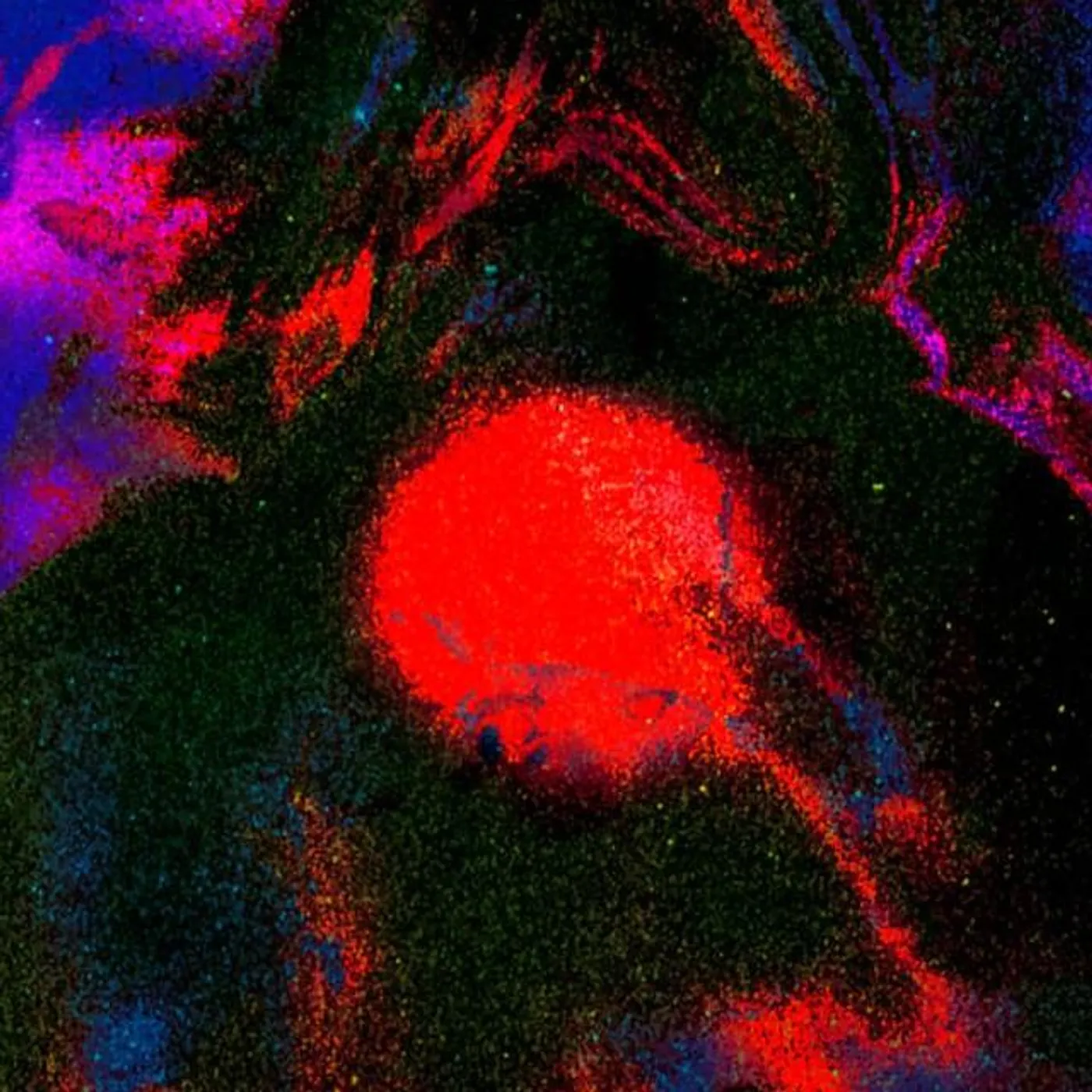 Mi Primo Fosforescente Brand Page