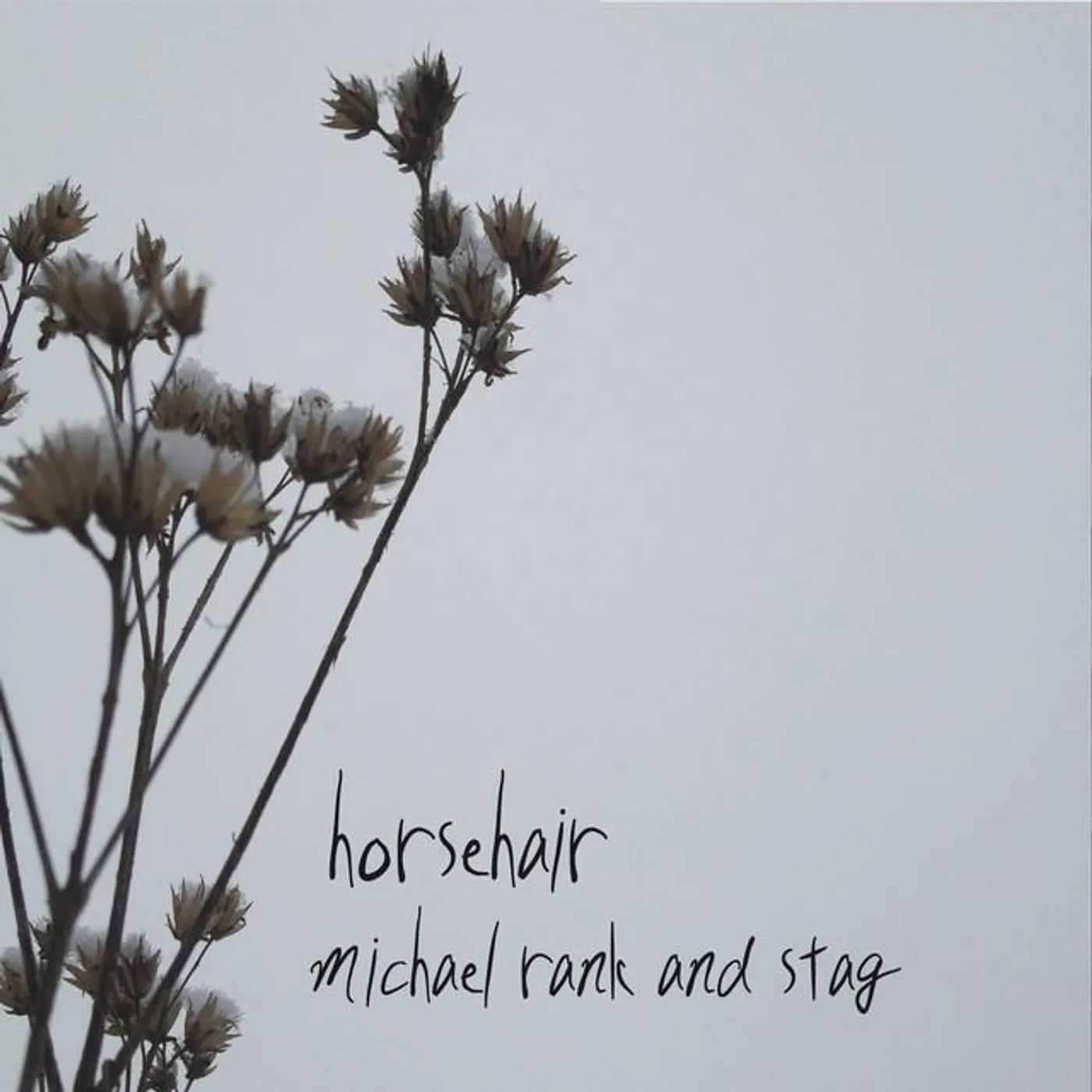 Michael Rank and Stag