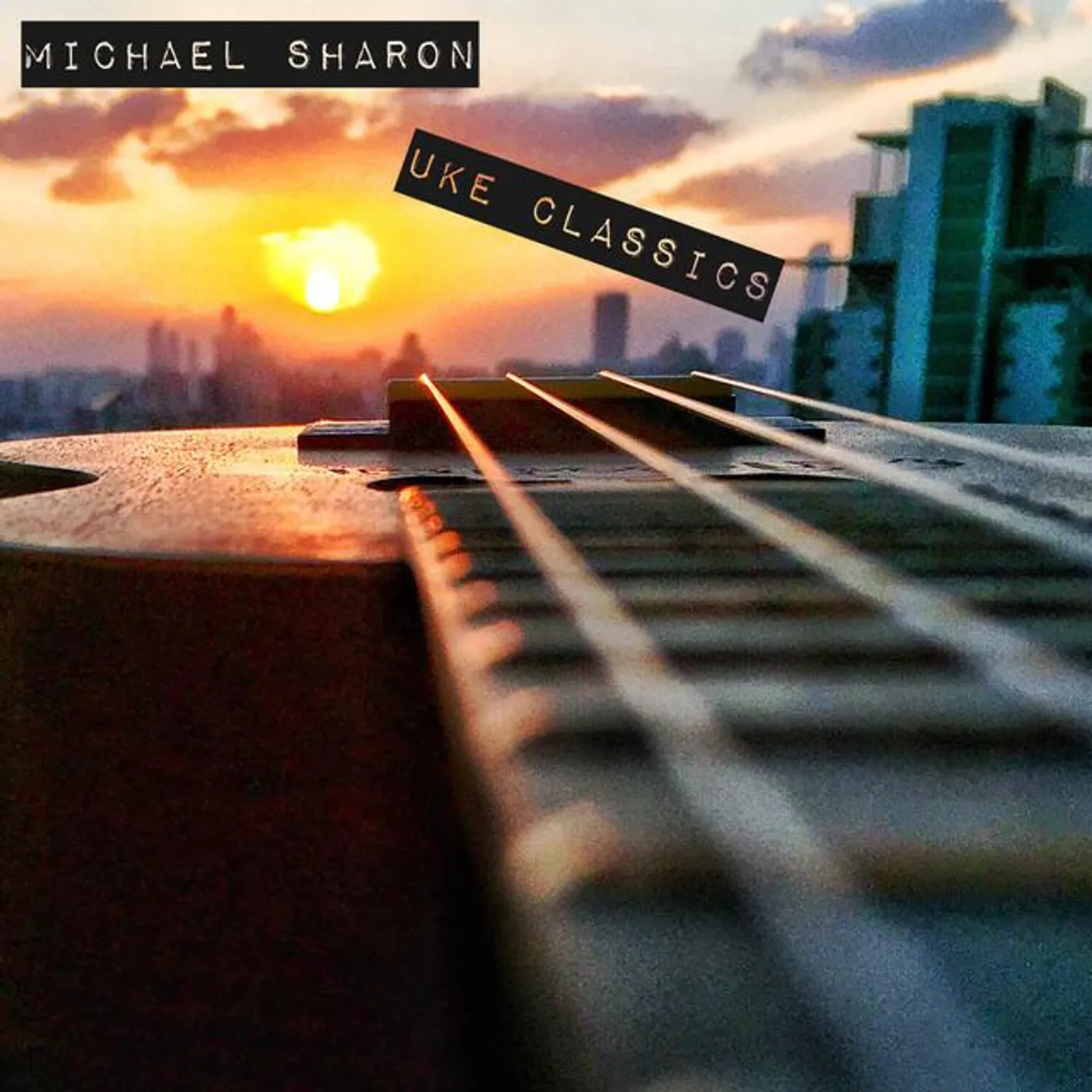 Michael Sharon