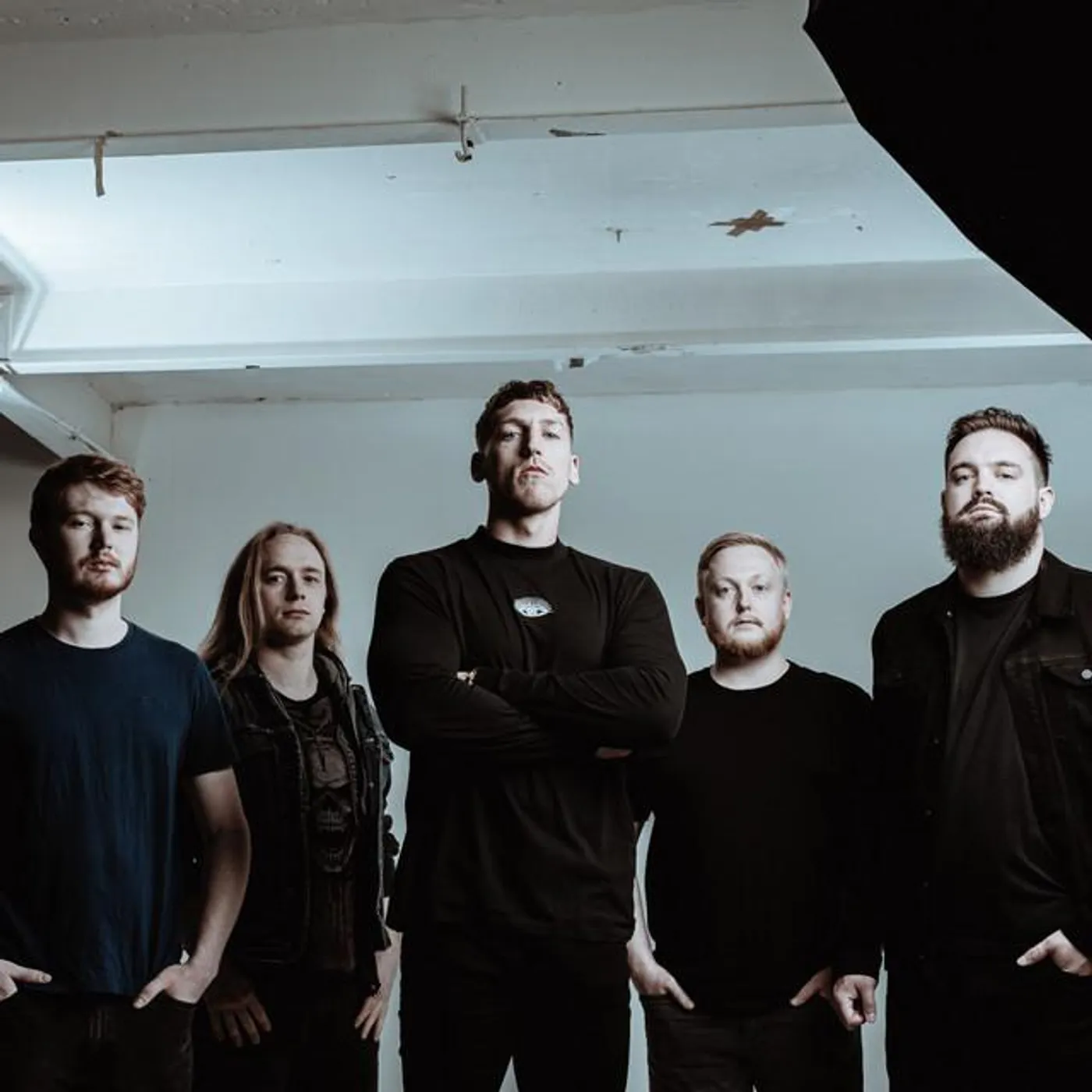 Midnight Realm Brand Page