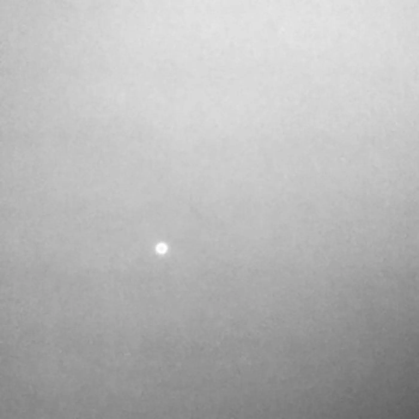 Miguel Ángel Tolosa