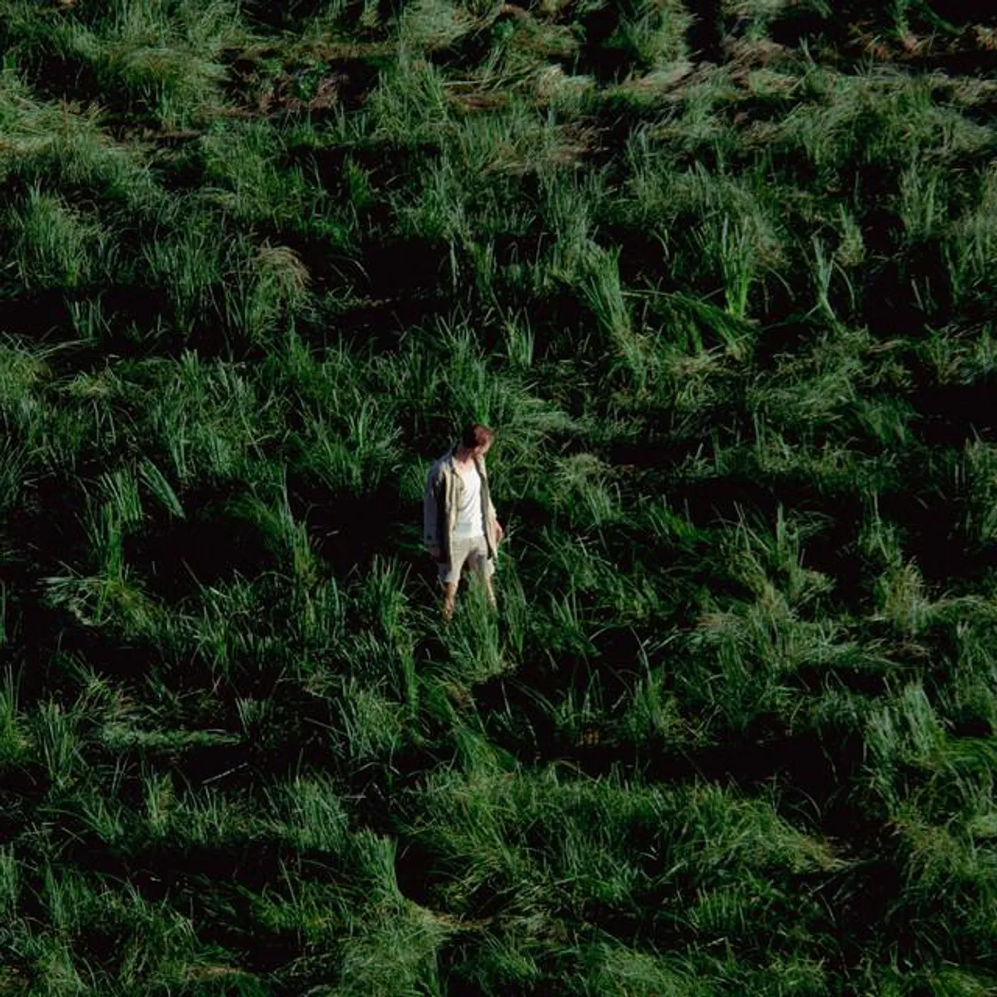 mihaita_in_buletin Brand Page