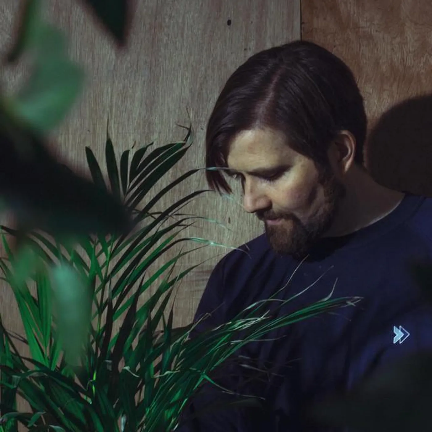 Mikey Collins Brand Page