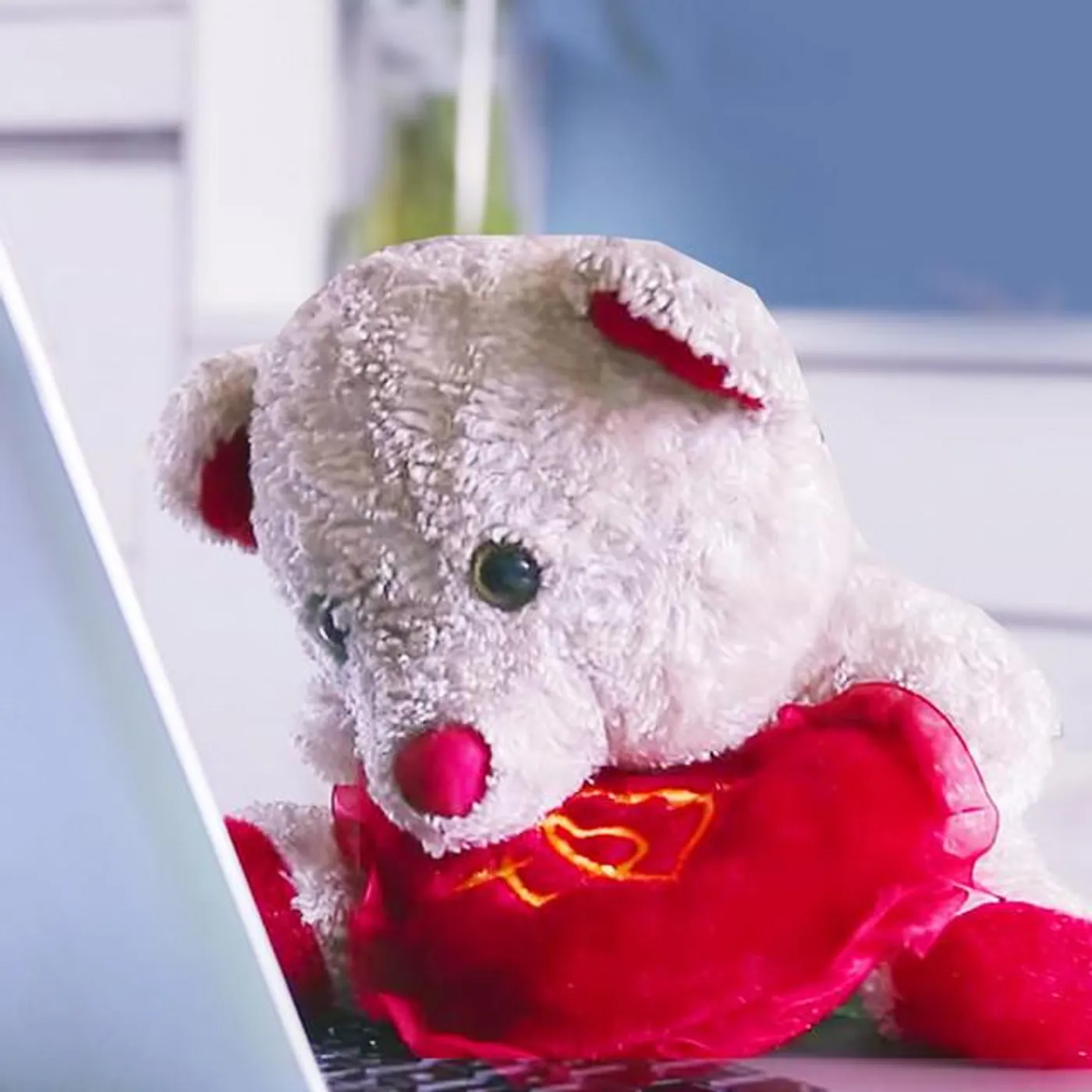 Mimi Teddy Brand Page