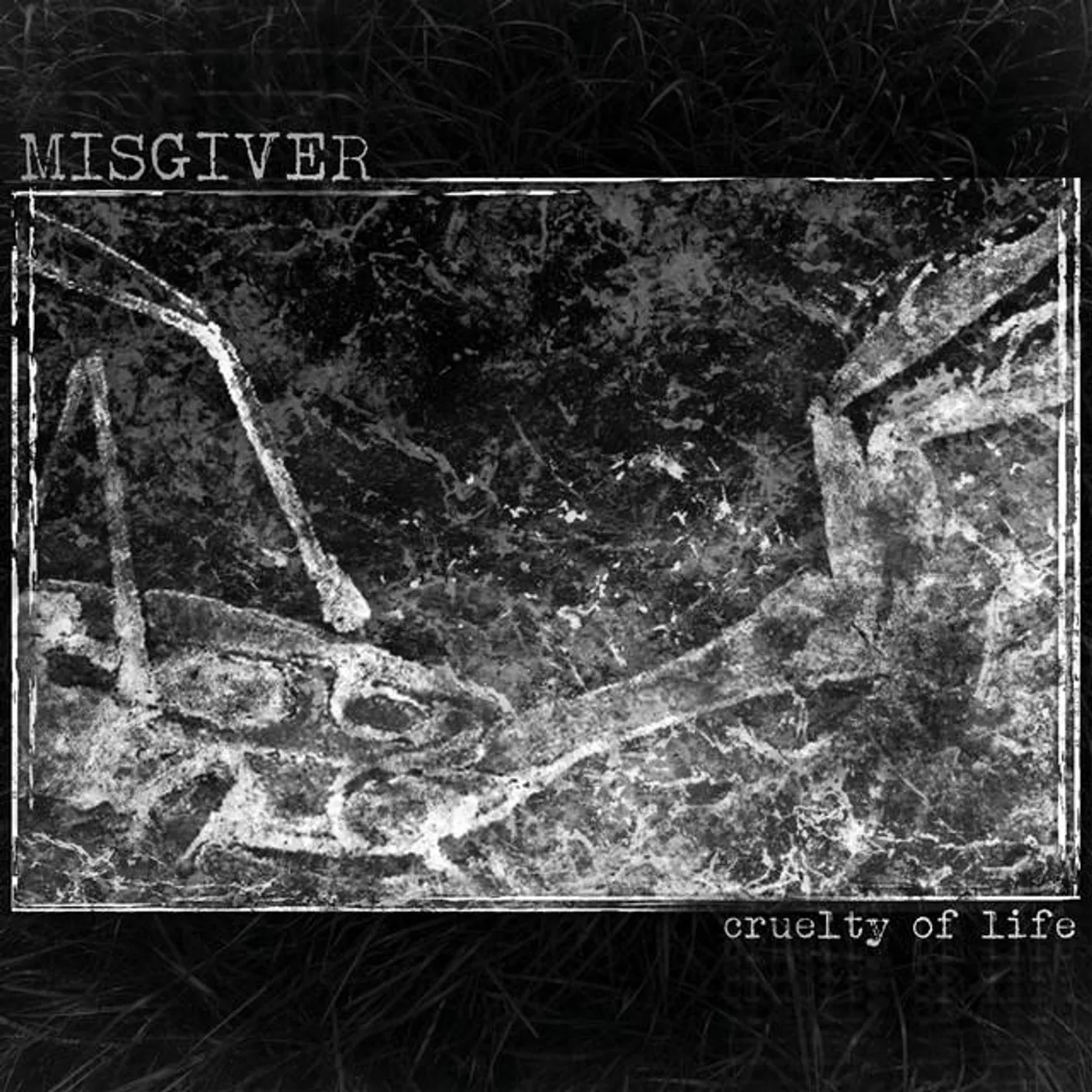 Misgiver