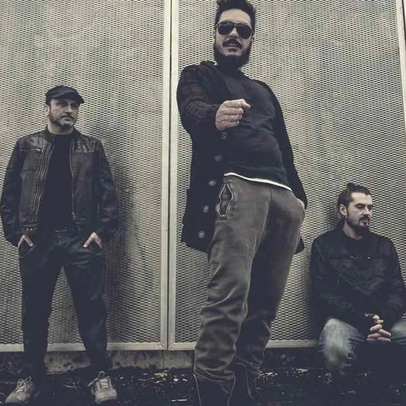 Mistonocivo Brand Page