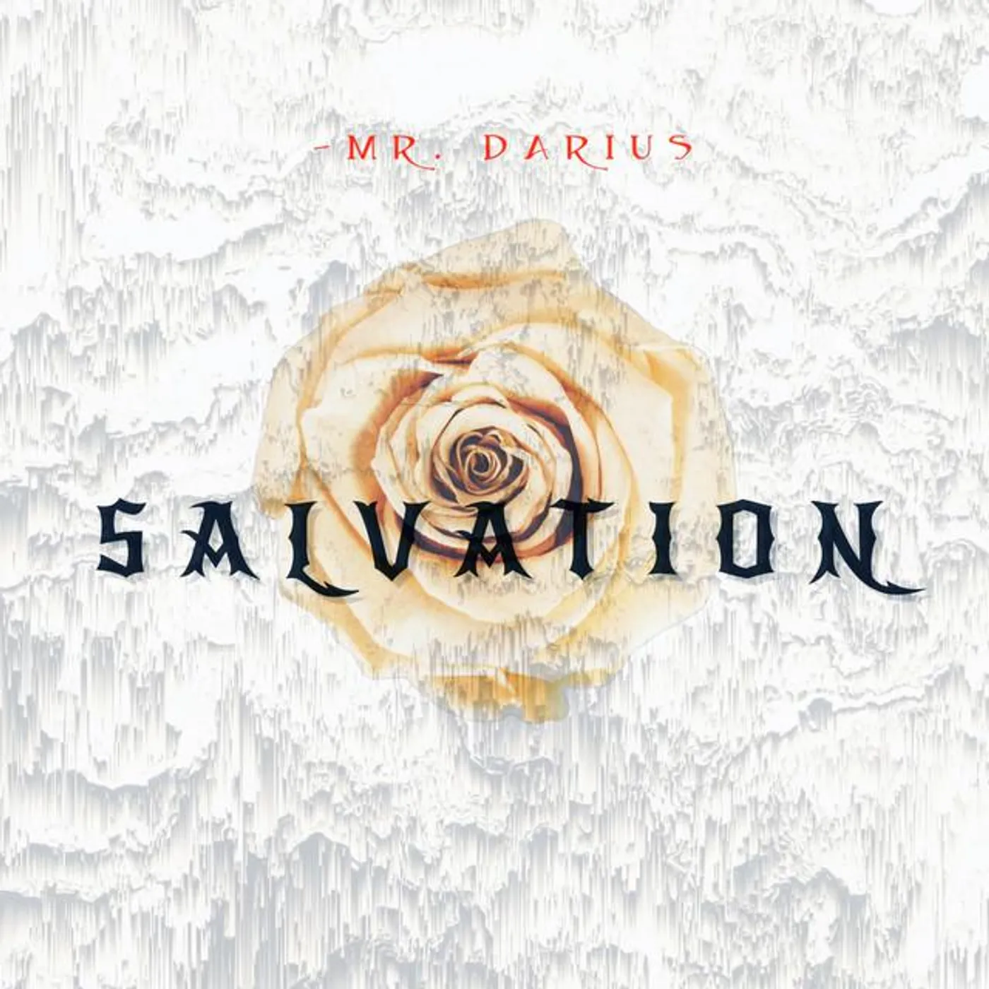 Mr. Darius Brand Page