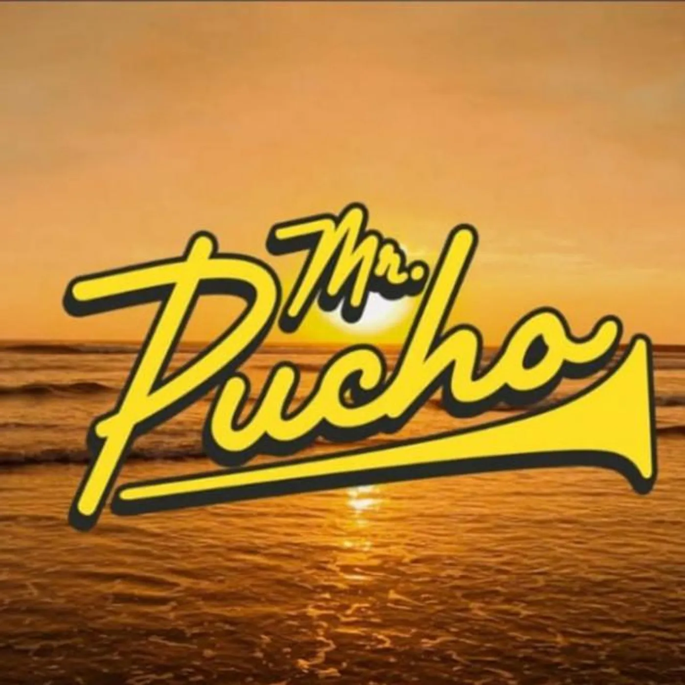 Mr. Pucho