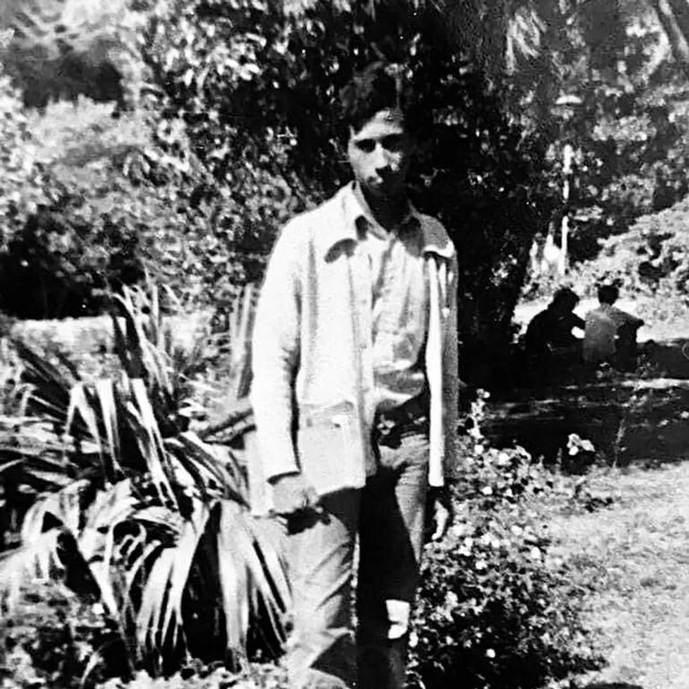 Msaweb Hakka Brand Page